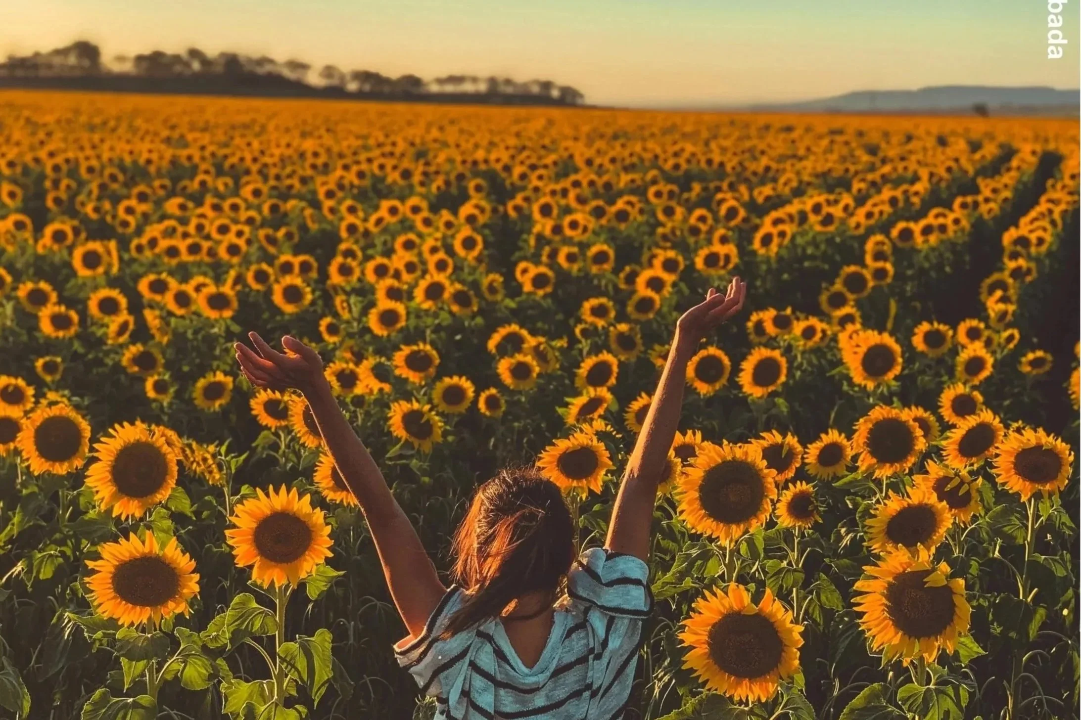 carles-rabada-AvOUmlZZMyY-unsplash Kopie.jpg