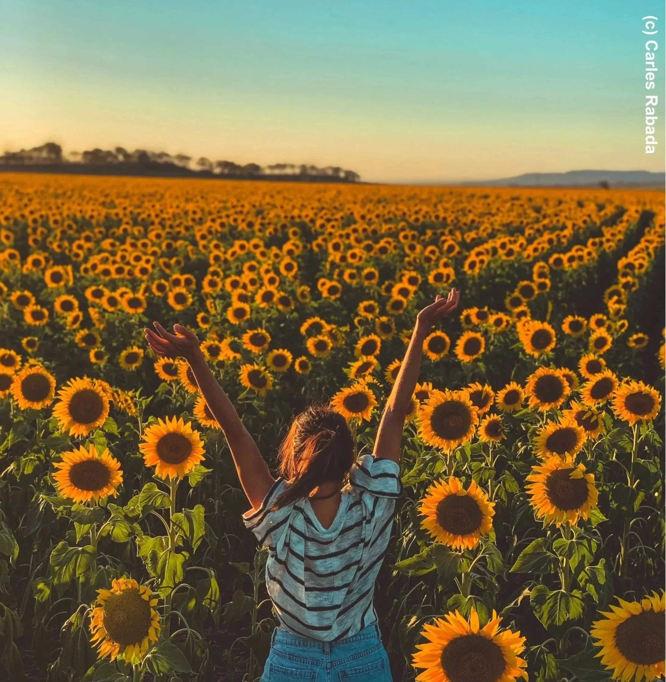 carles-rabada-AvOUmlZZMyY-unsplash Kopie.jpg