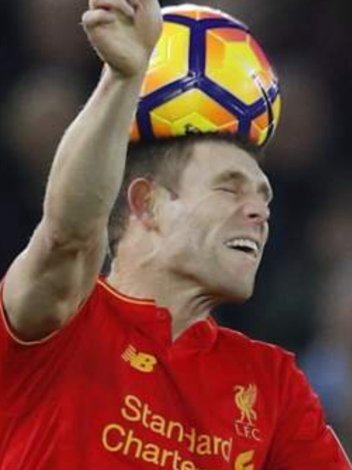 Here are my best photos from #2016.