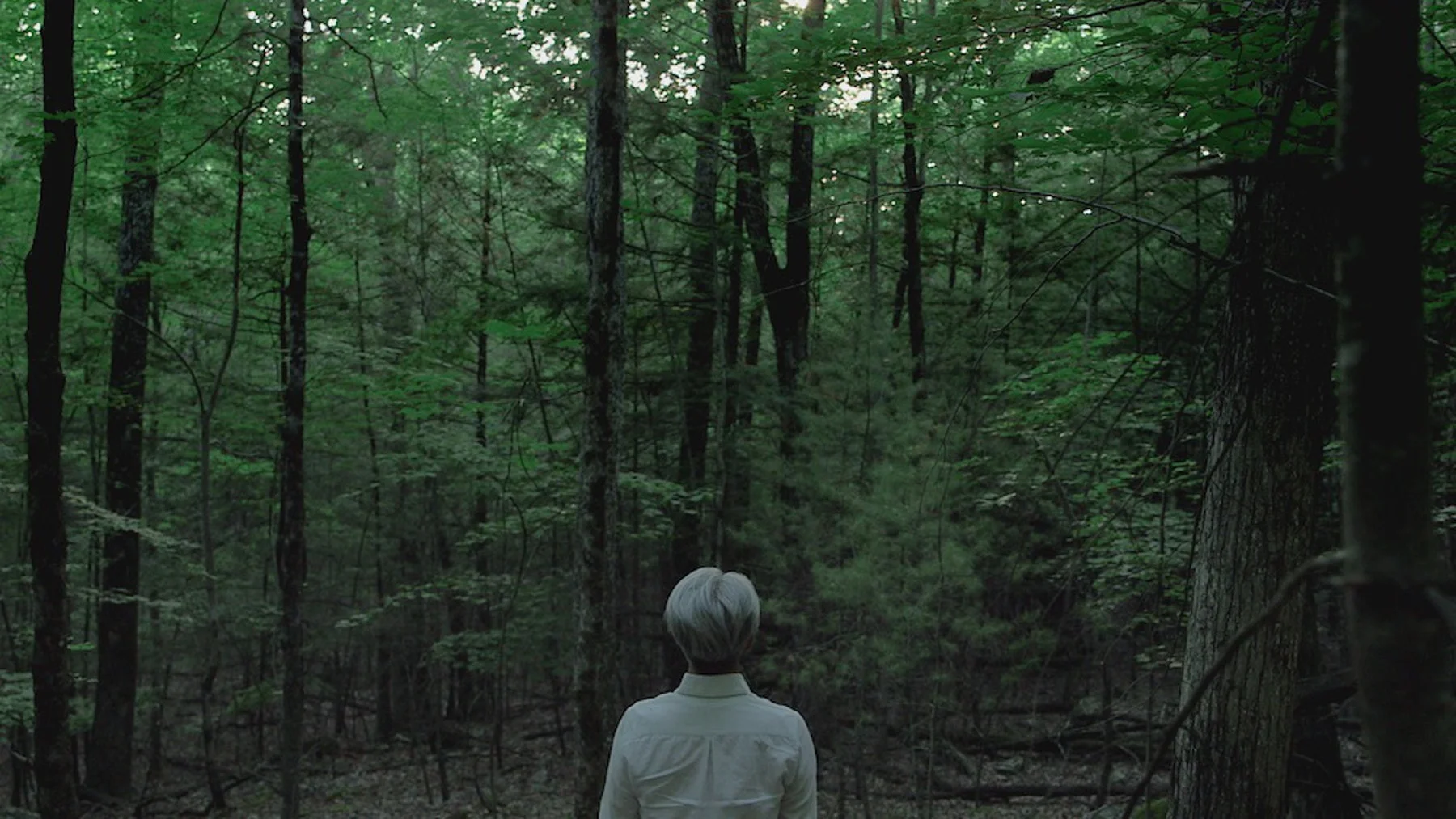ryuichi-sakamoto-coda.jpg
