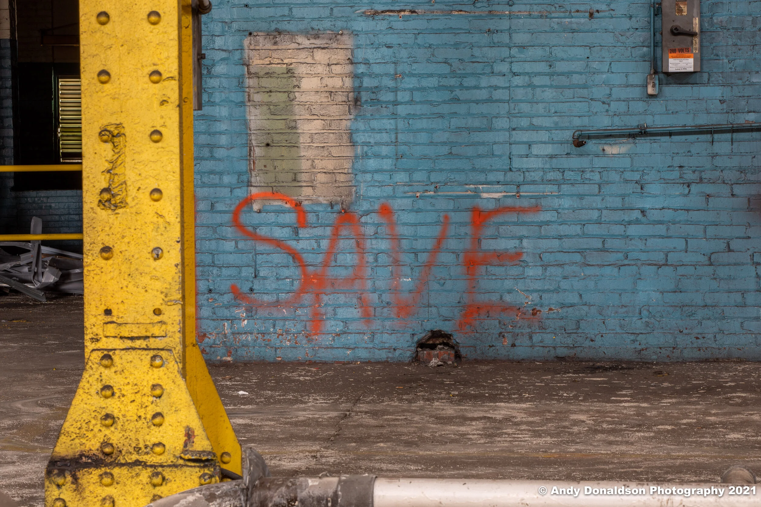 Howden Buffalo - Joy 1-51.jpg