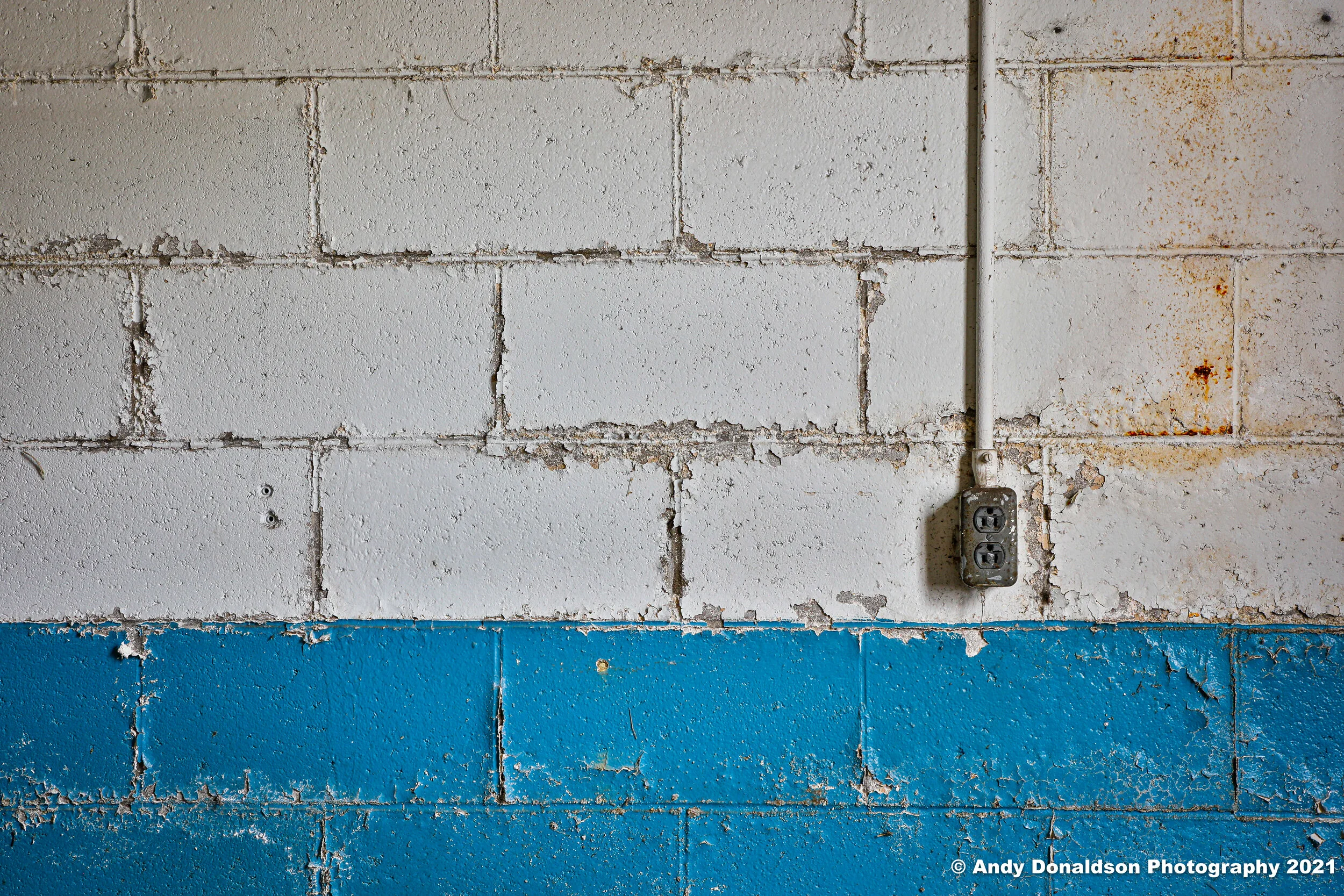 Howden Buffalo - Joy-4.jpg