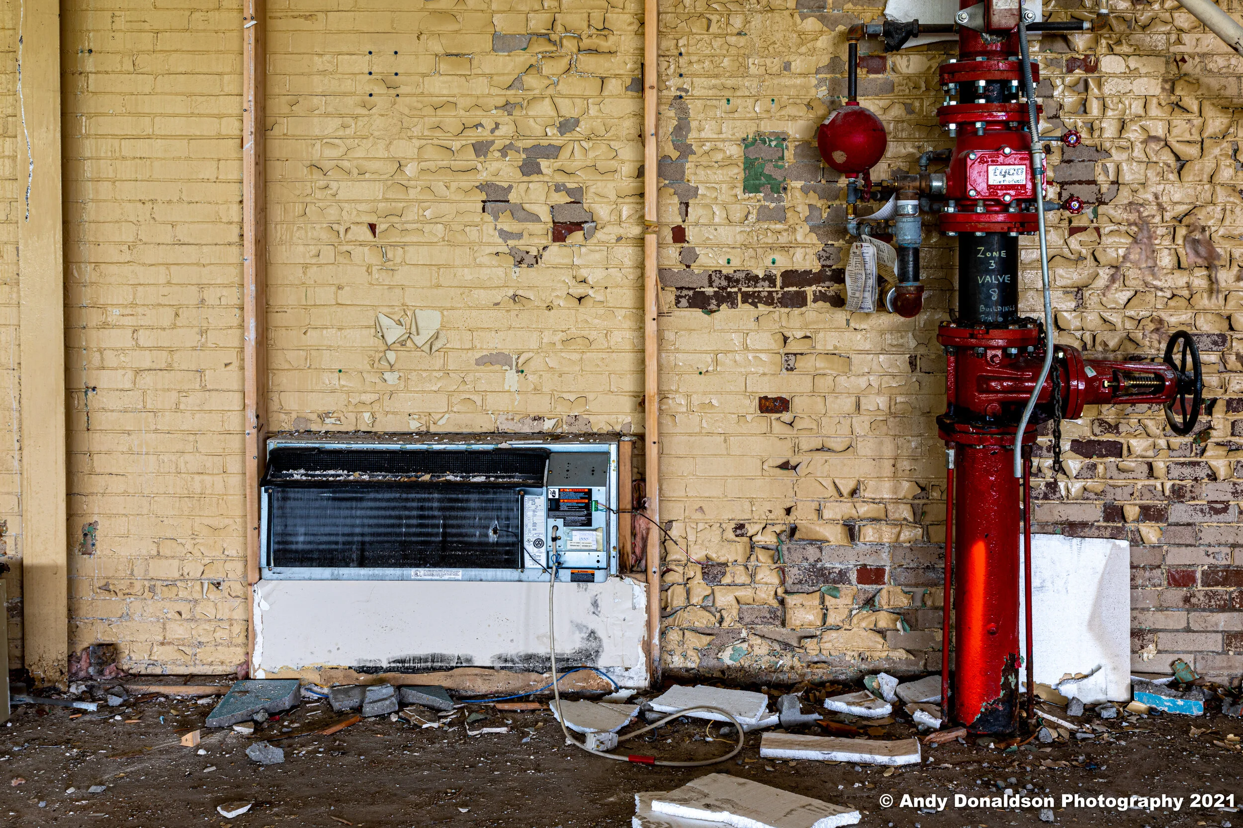 Howden Buffalo - Joy-10.jpg