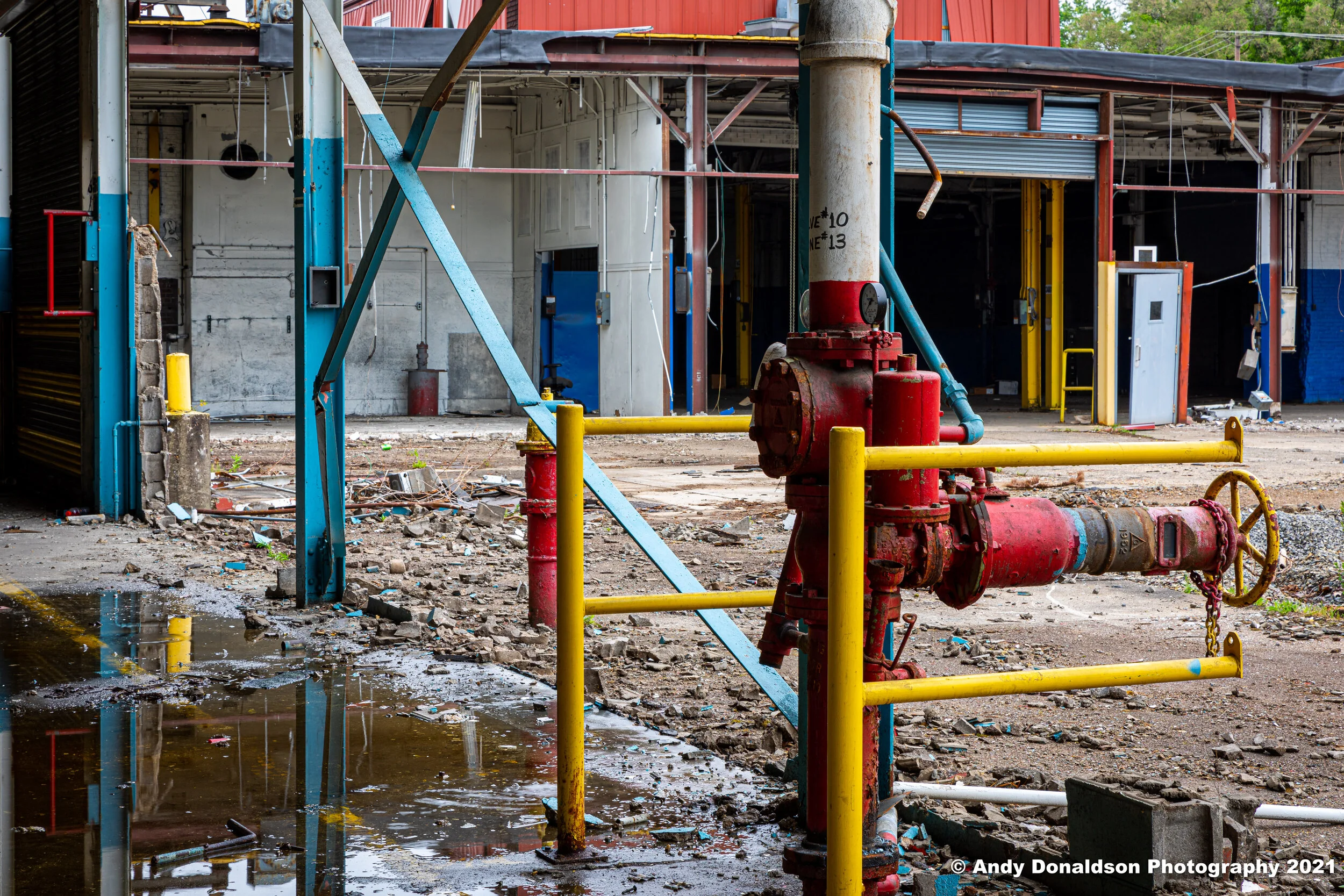 Howden Buffalo - Joy-14.jpg