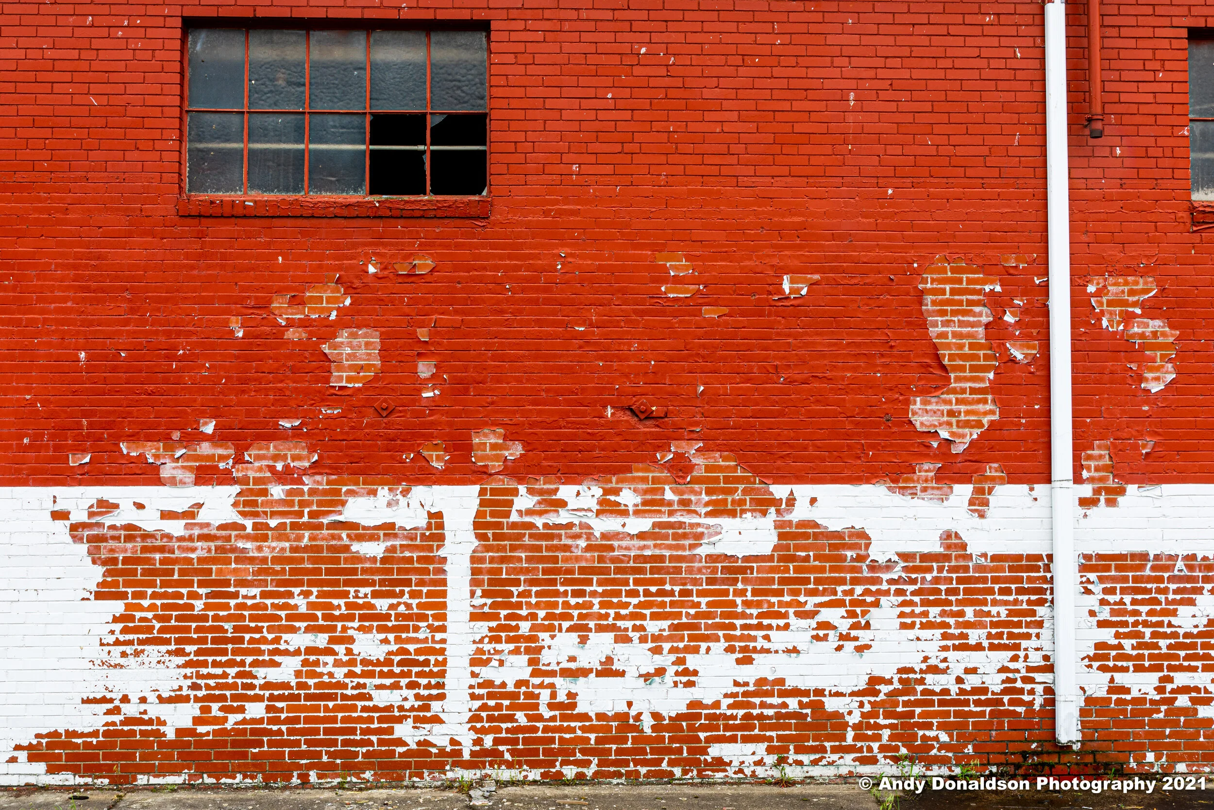 Howden Buffalo - Joy-16.jpg