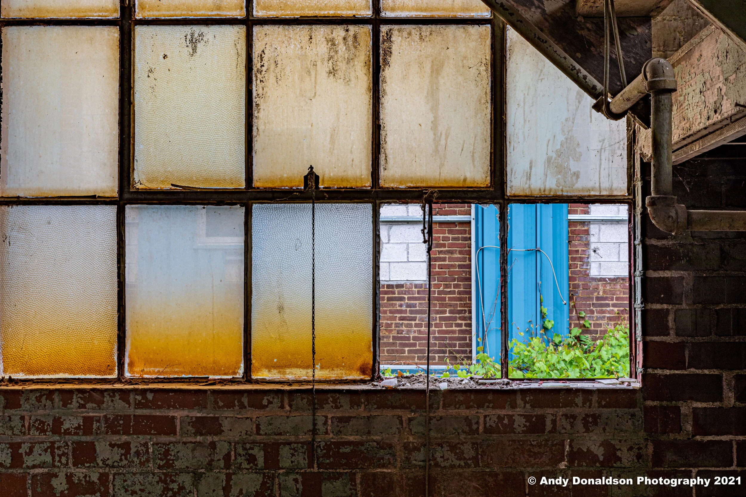 Howden Buffalo - Joy-20.jpg