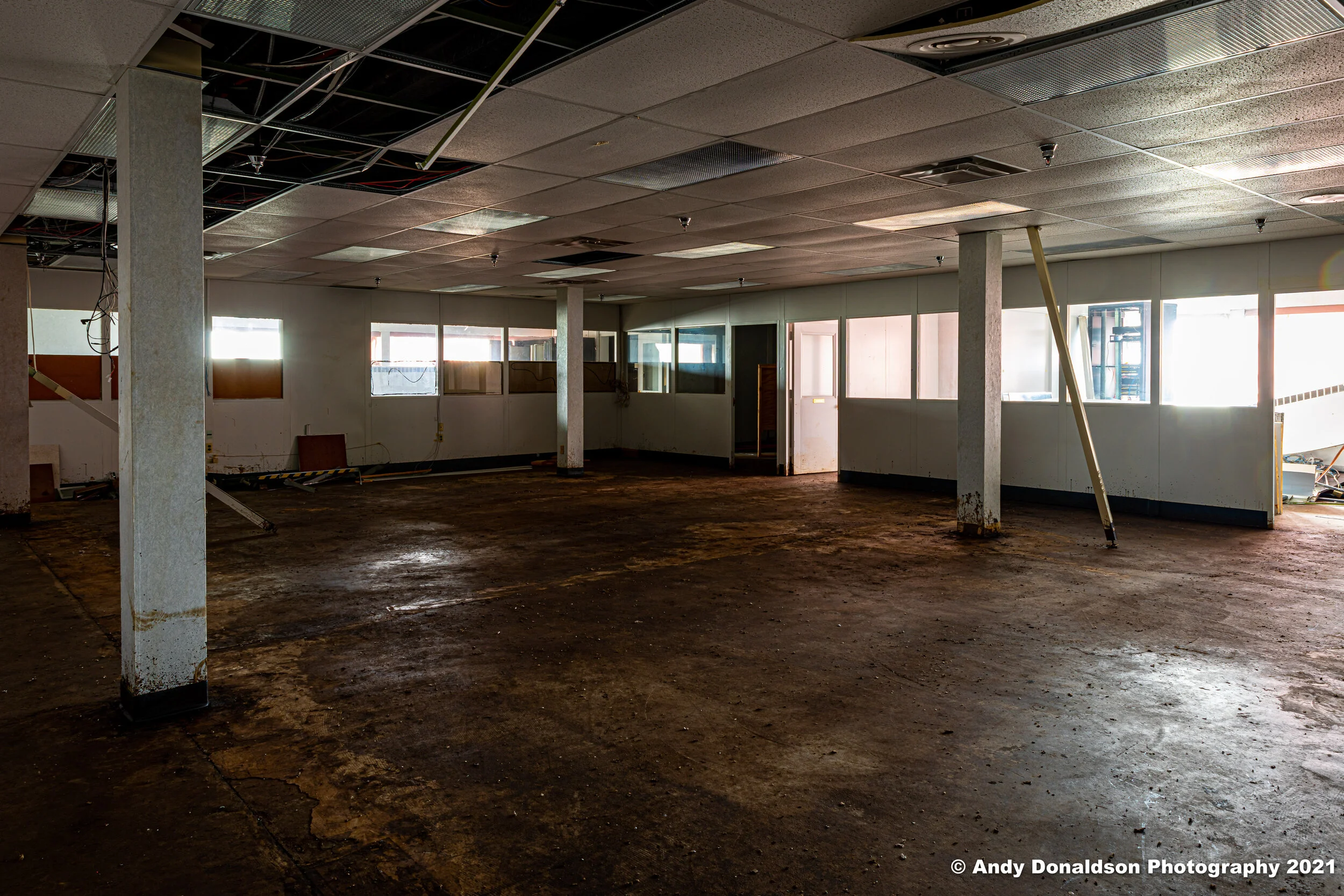 Howden Buffalo - Joy-49.jpg