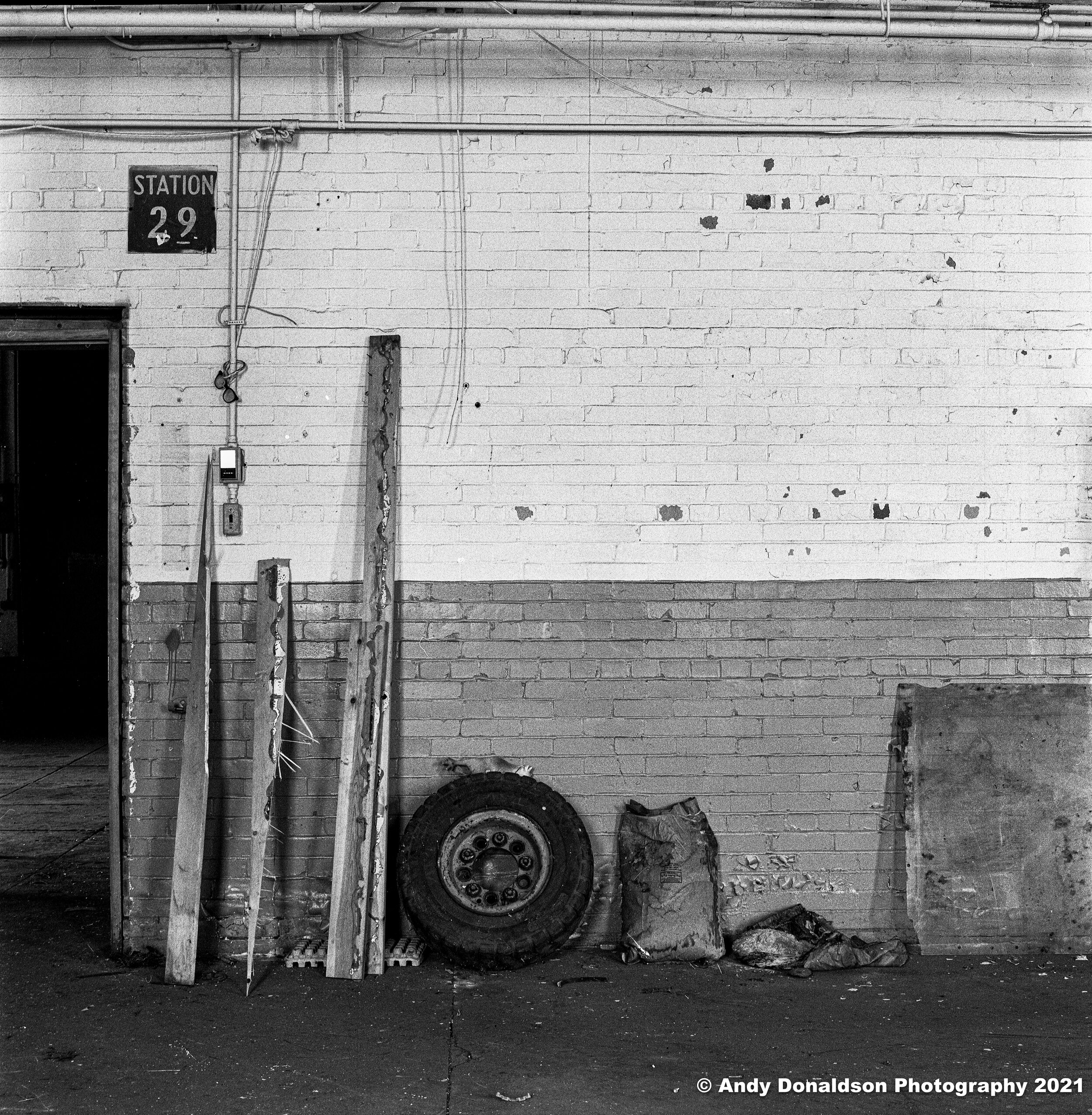 Howden Buffalo - Joy 1-2.jpg