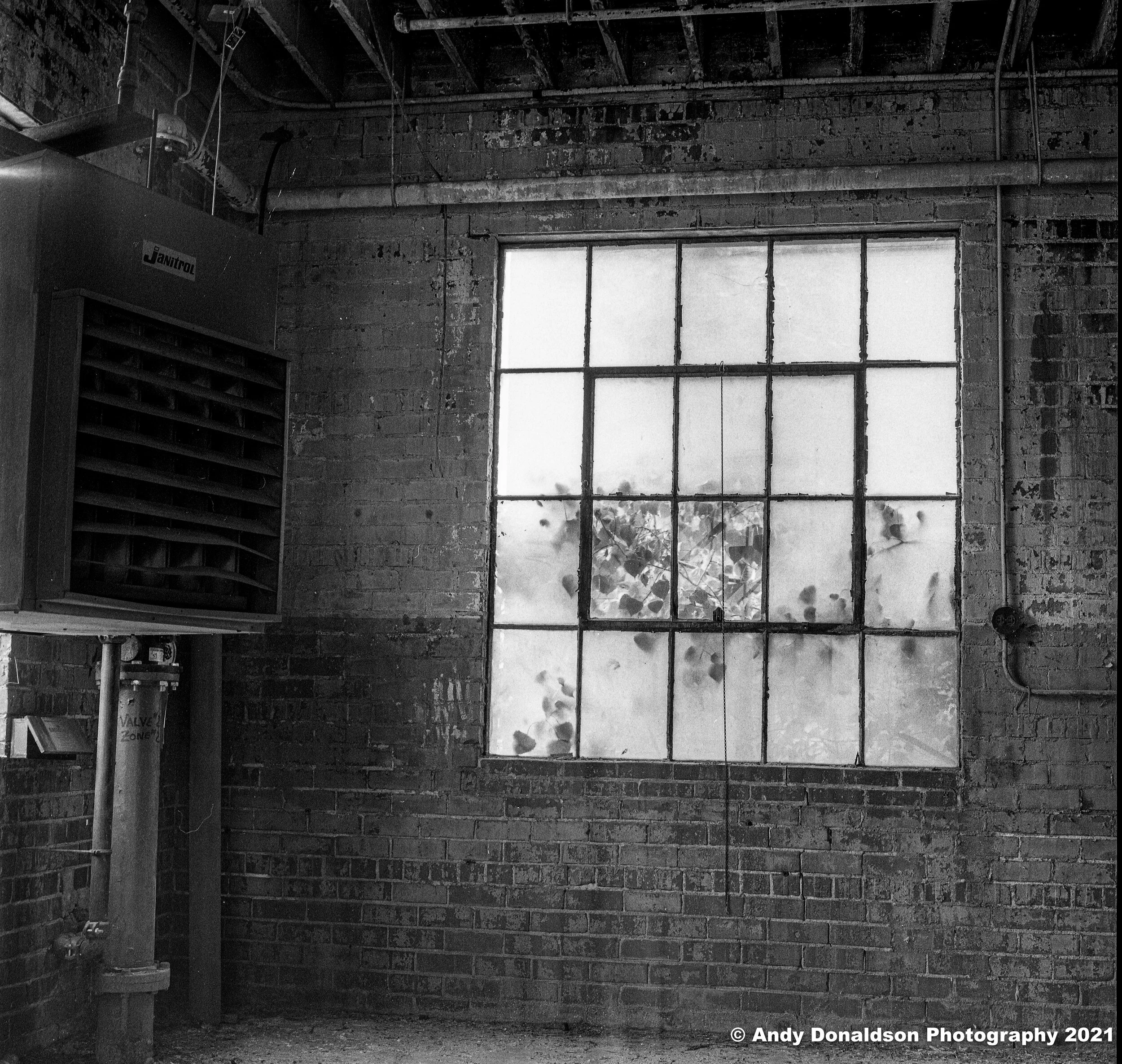 Howden Buffalo - Joy 1-6.jpg