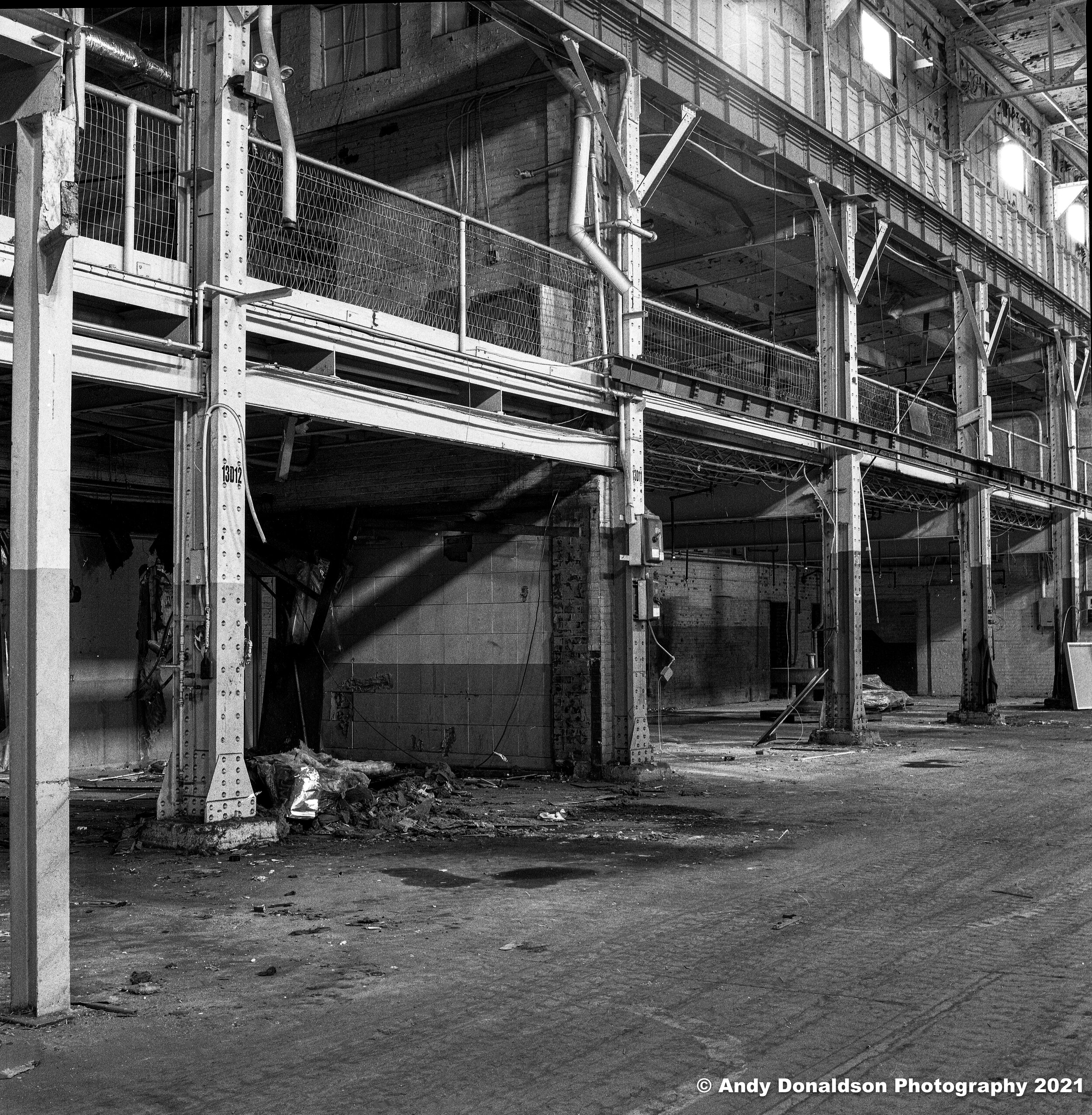 Howden Buffalo - Joy Roll 2-2.jpg