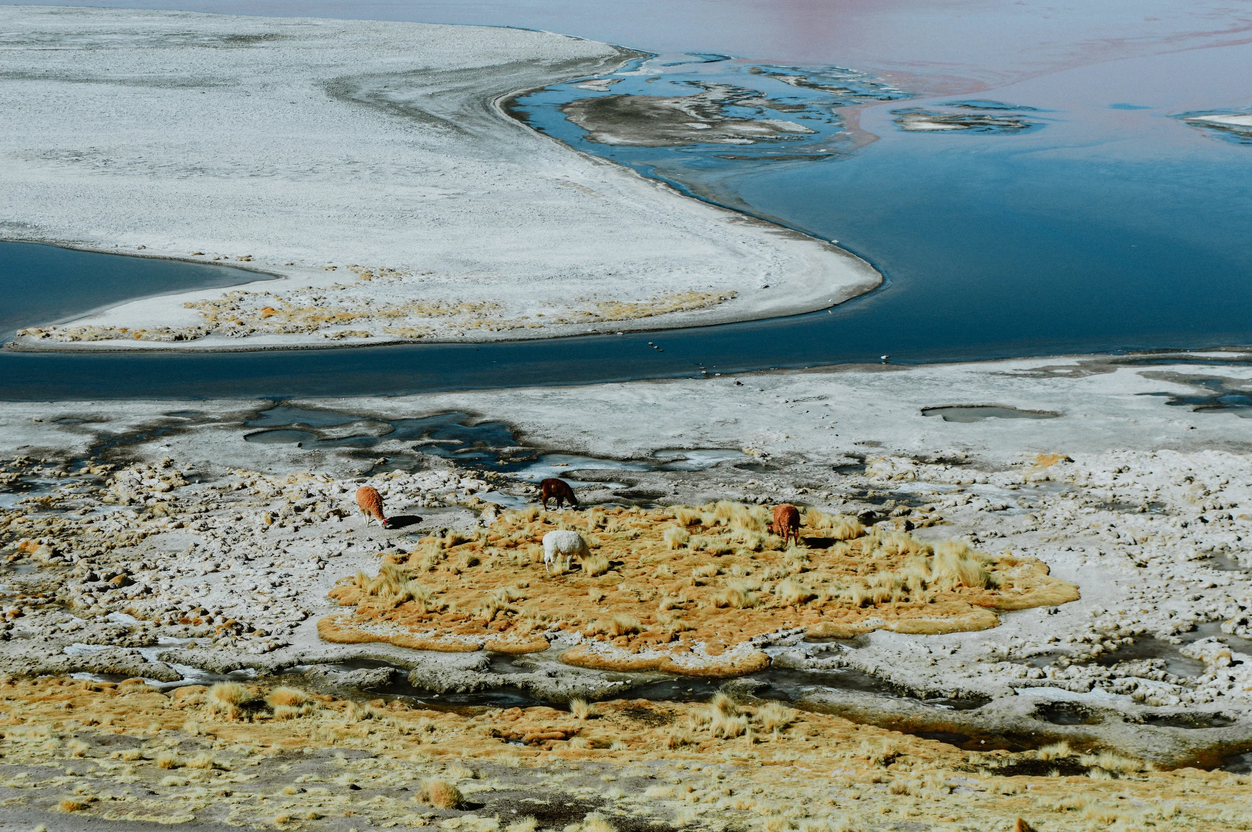 7312016 Uyuni12.jpg