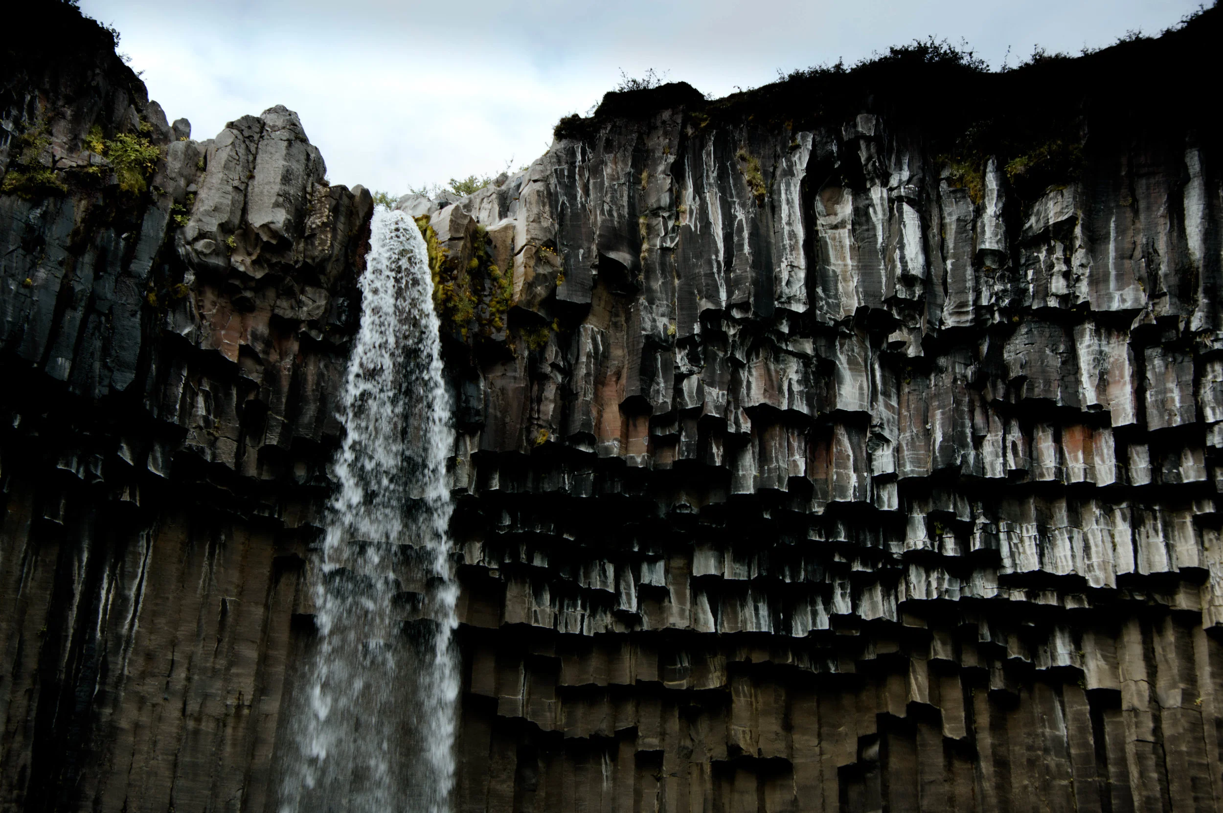 DSC_0684.jpg