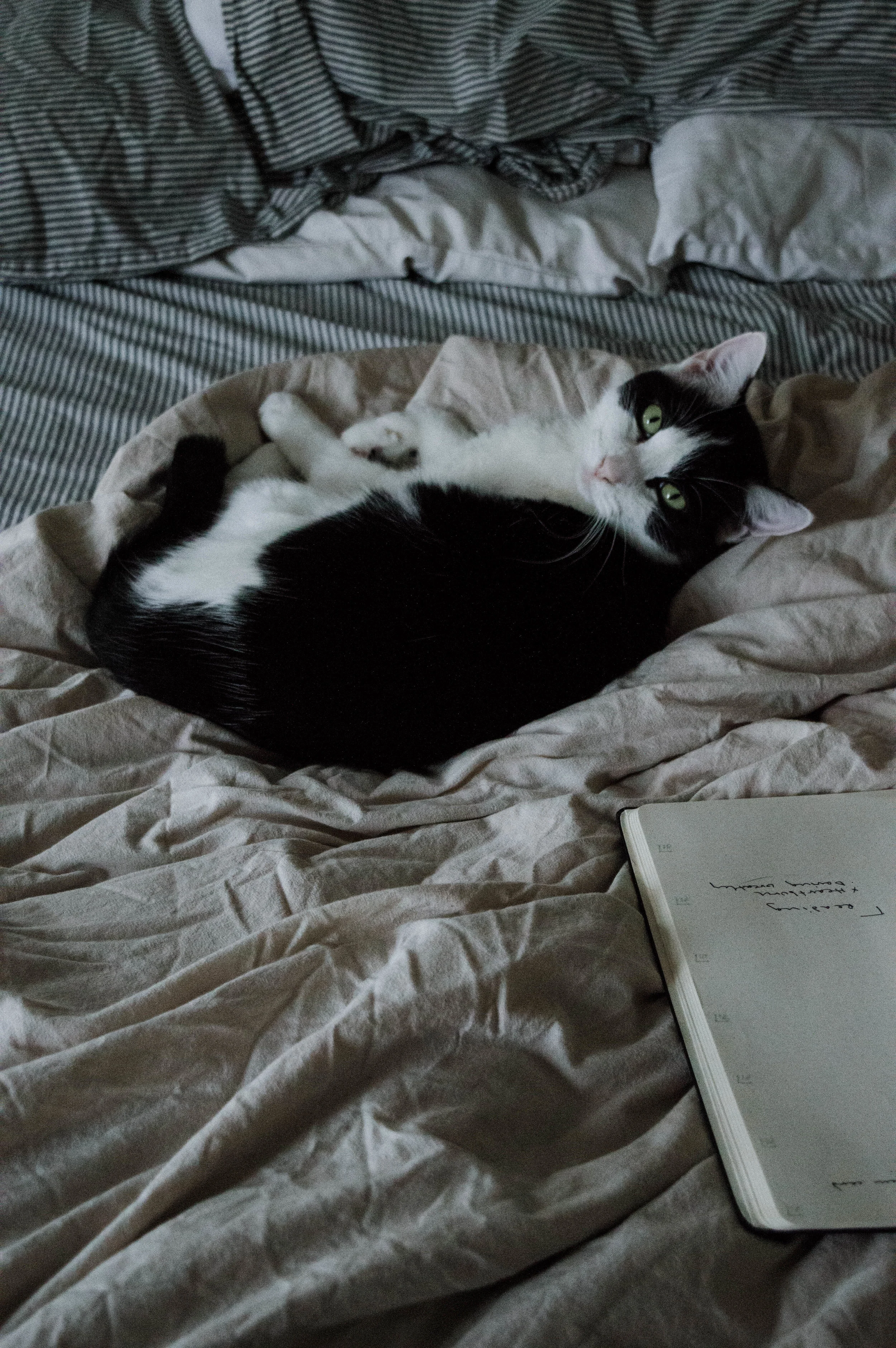 DSC_0001.jpg