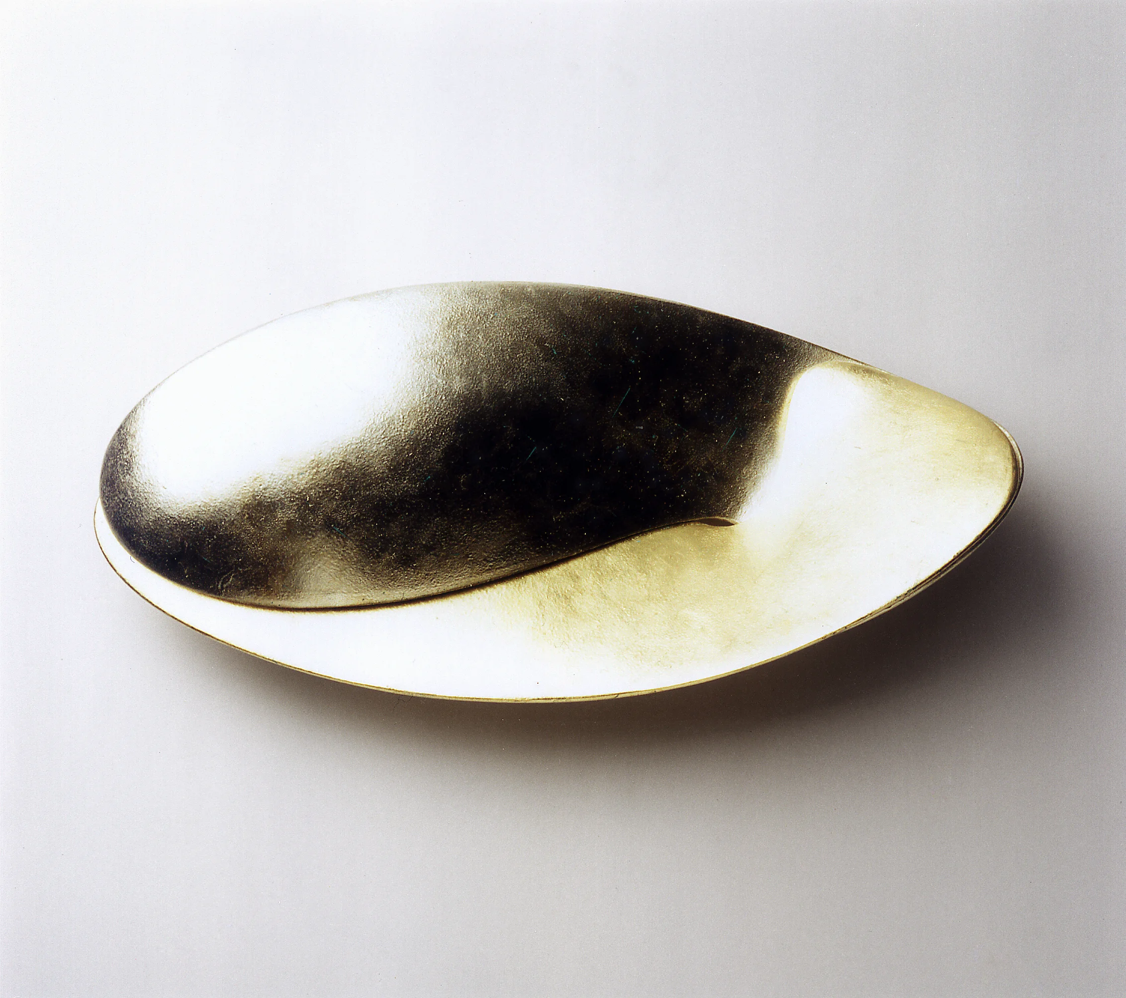 Fisch Ying & Yang 1.jpg
