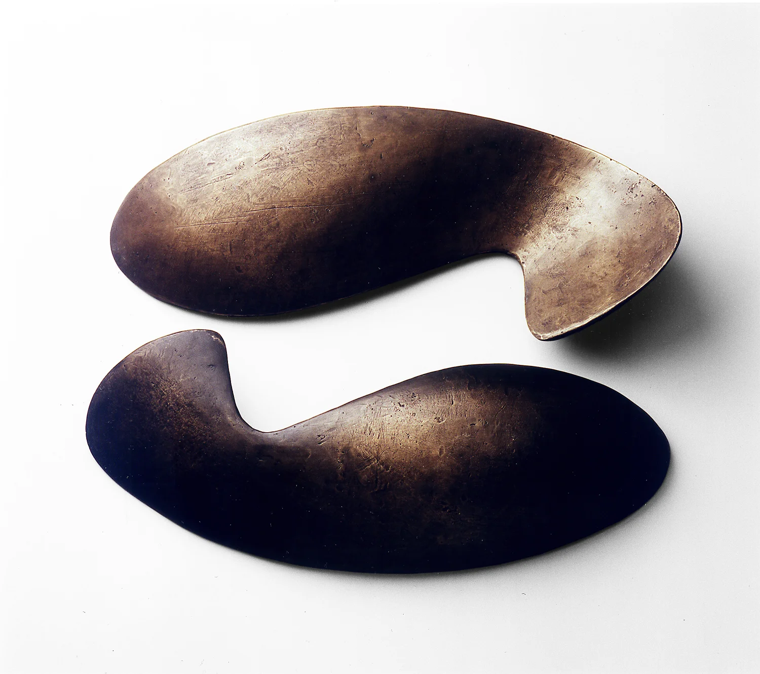 Fisch Ying & Yang Bronce_2.jpg