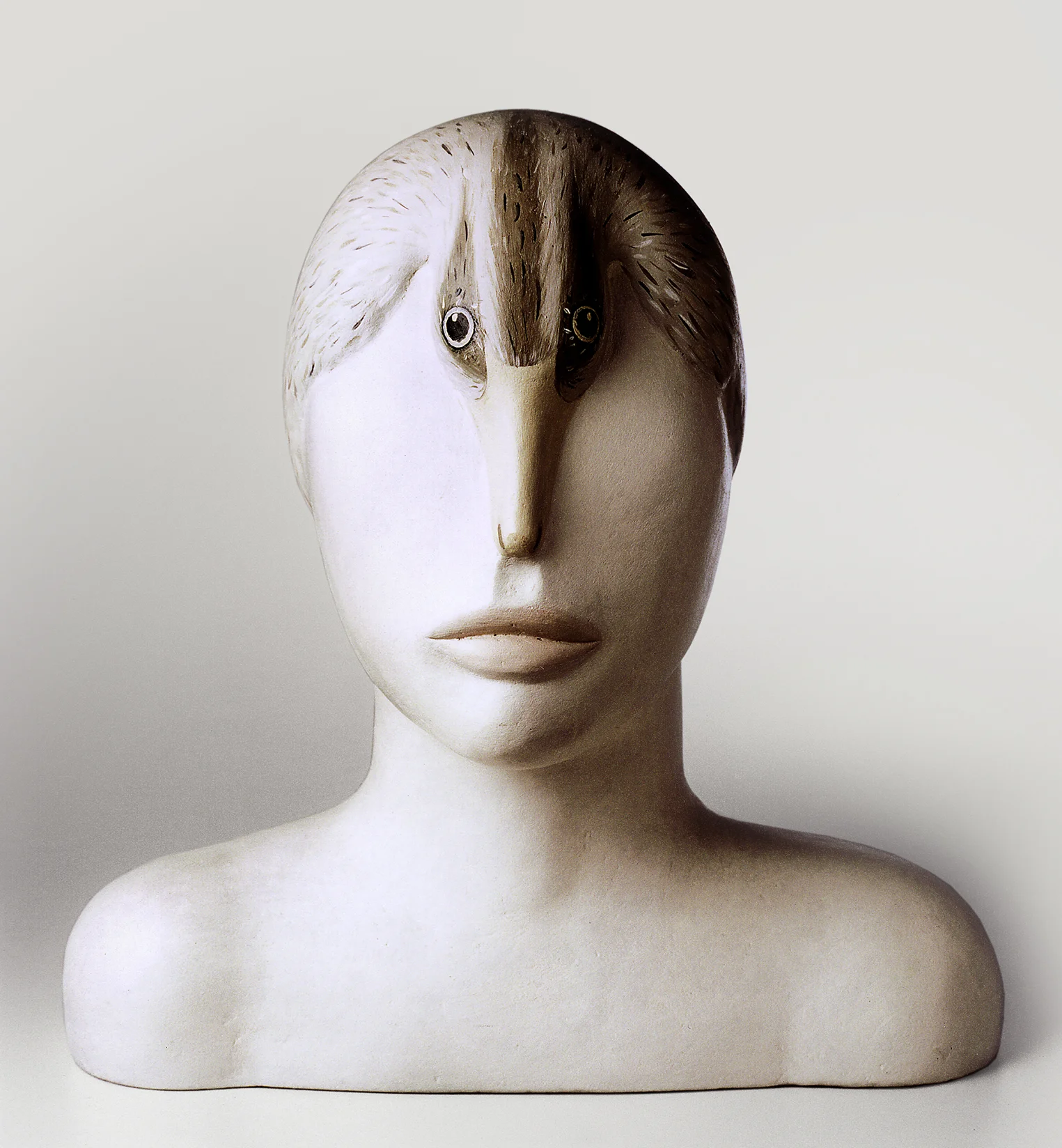 Torso.jpg