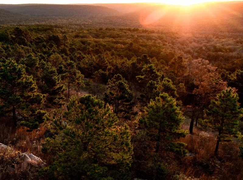PogueRanch.Sunrise.jpg