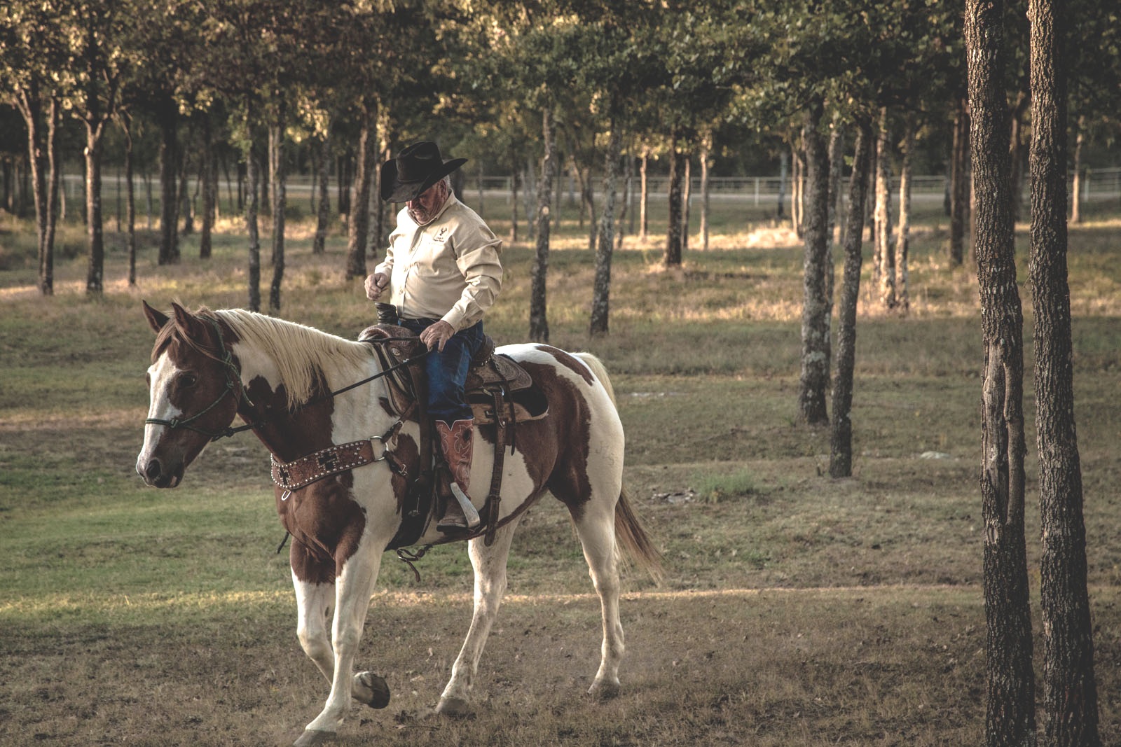 Horseback Riding