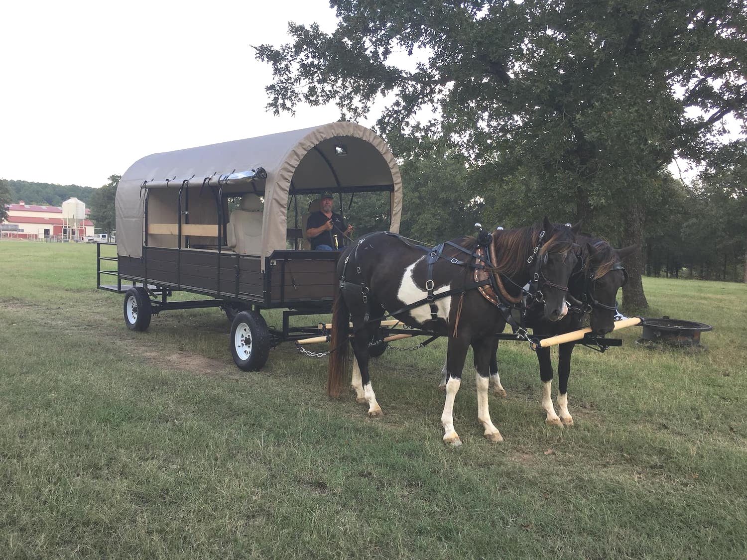 Covered Wagon Rides