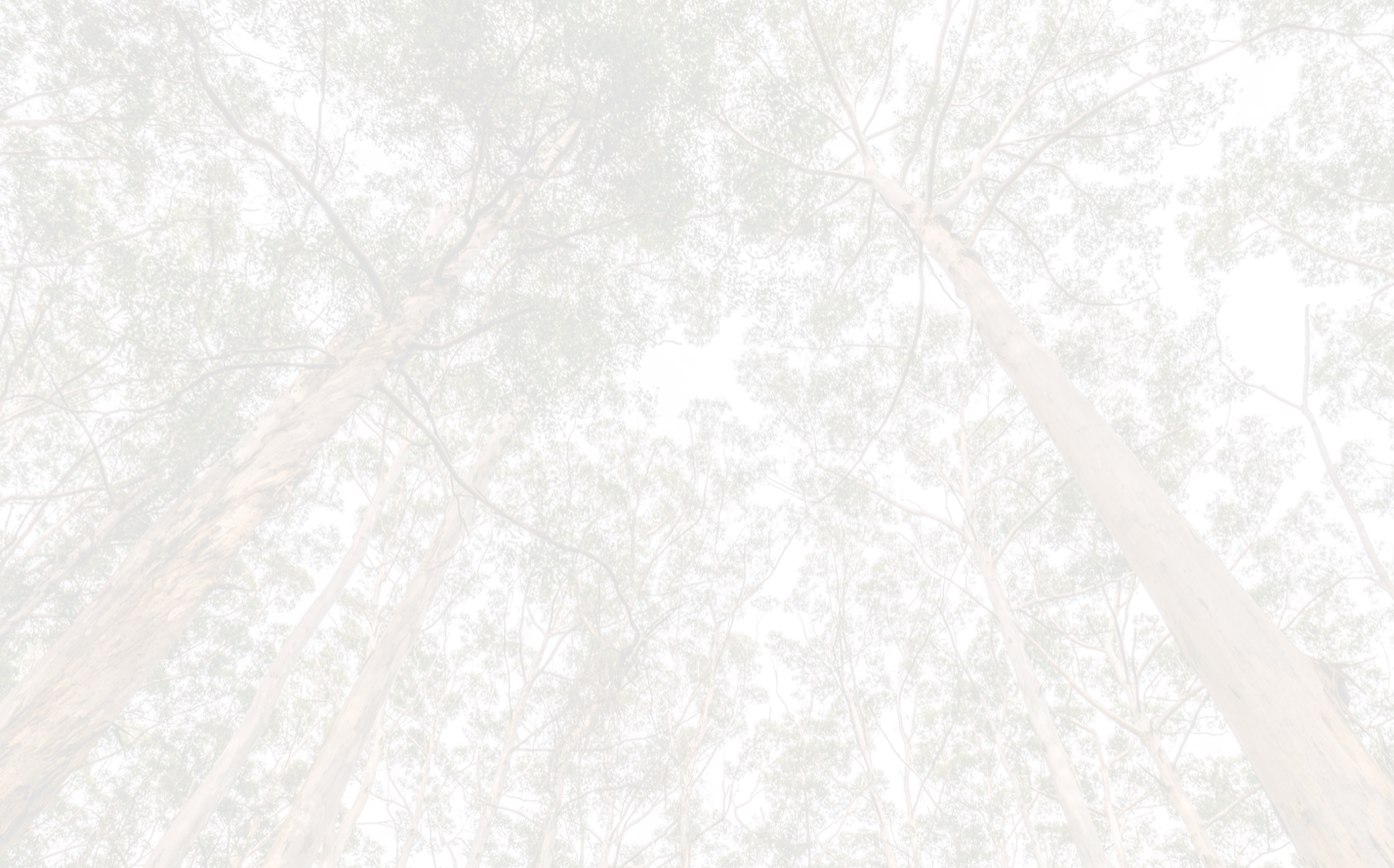 Screen Shot 2018-11-17 at 6.50.46 PM.png