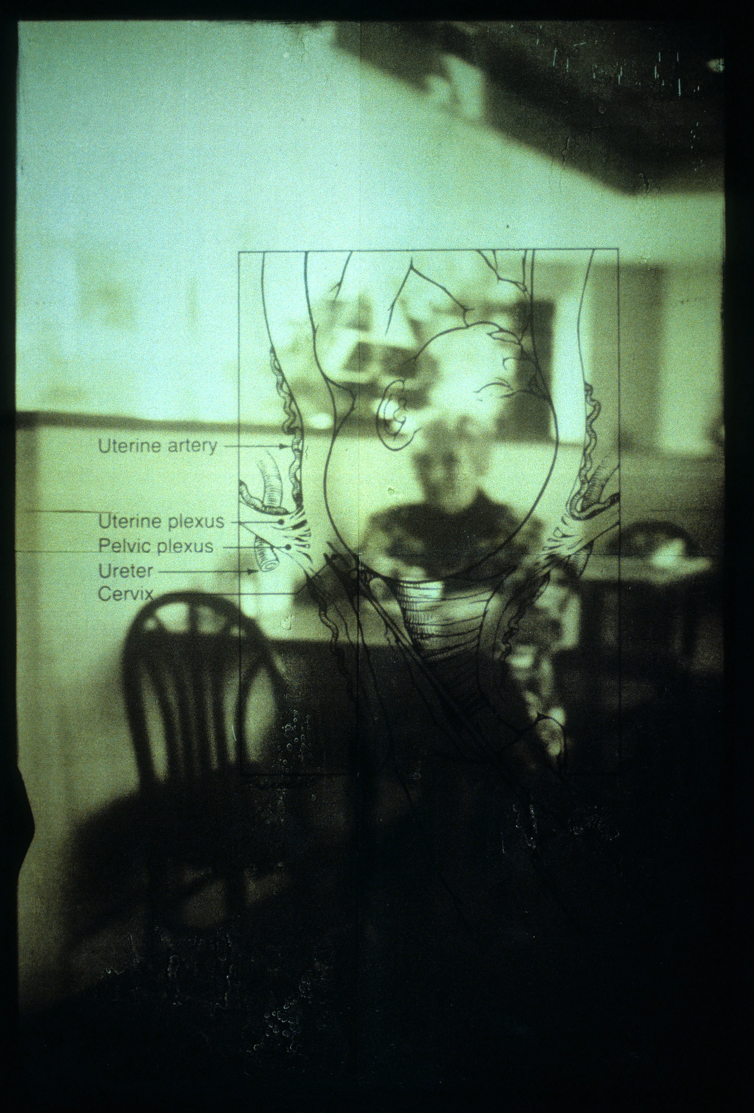 First Paradigm, #14 copy.jpg