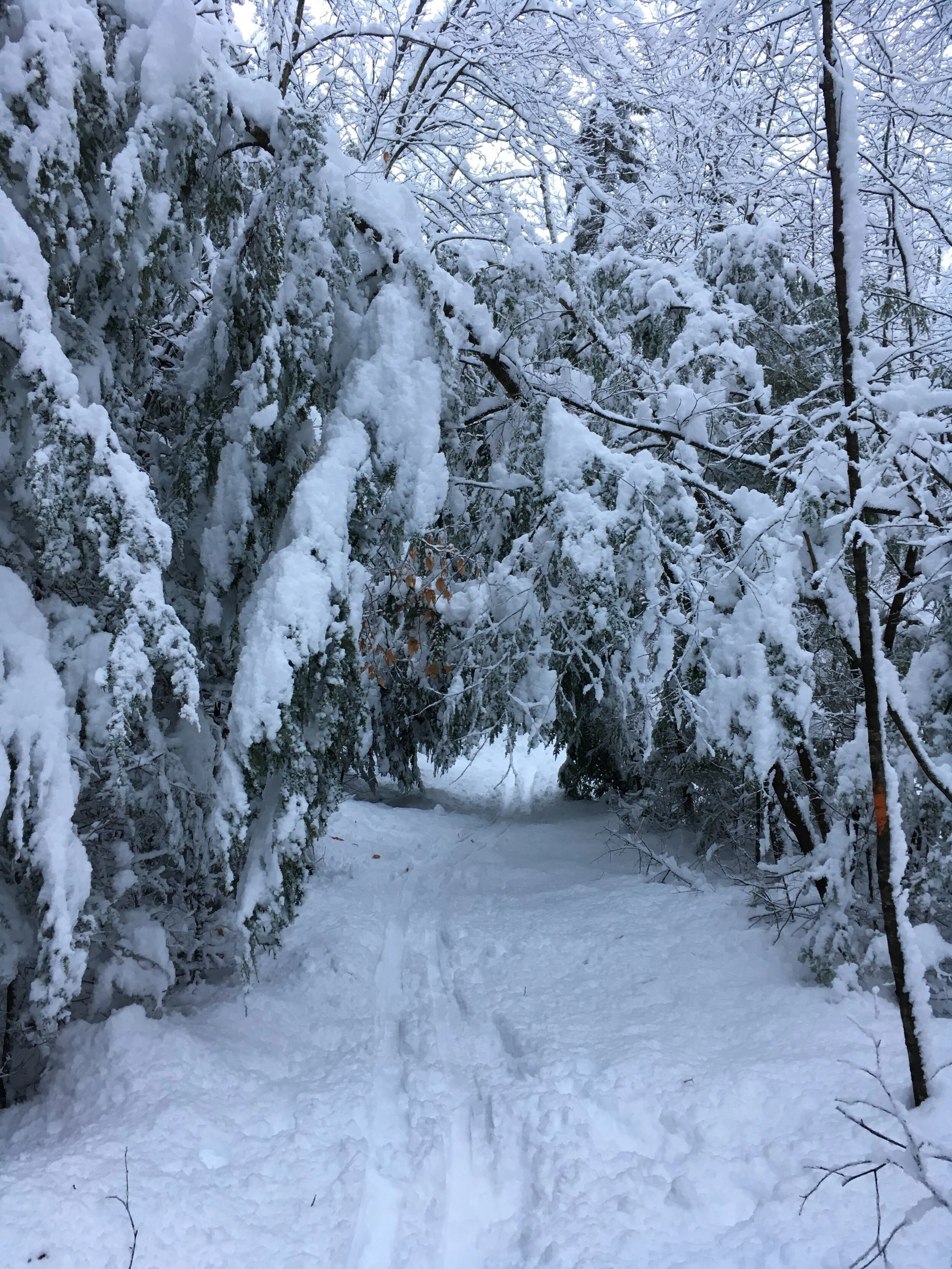 opt outside.