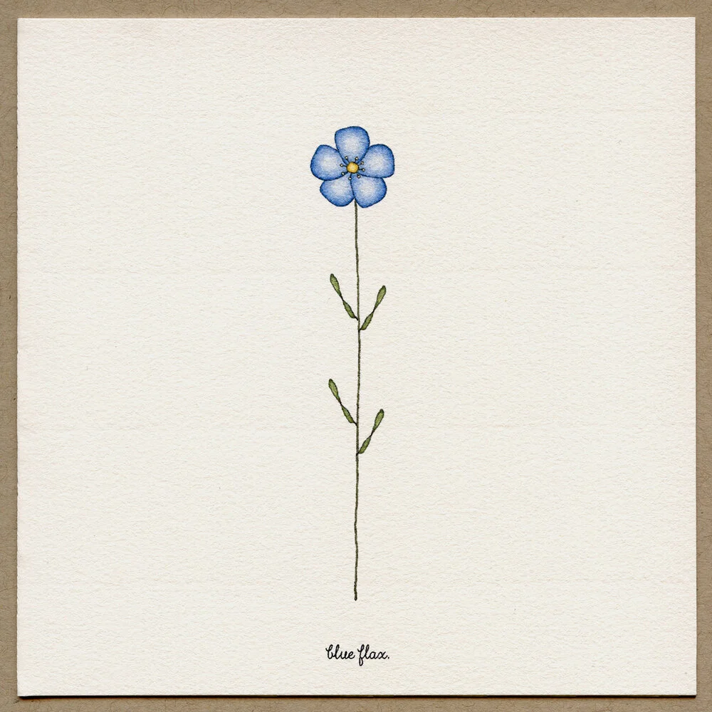 blue+flax.jpg