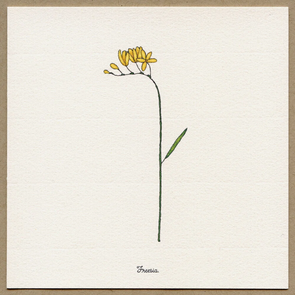 freesia.jpg