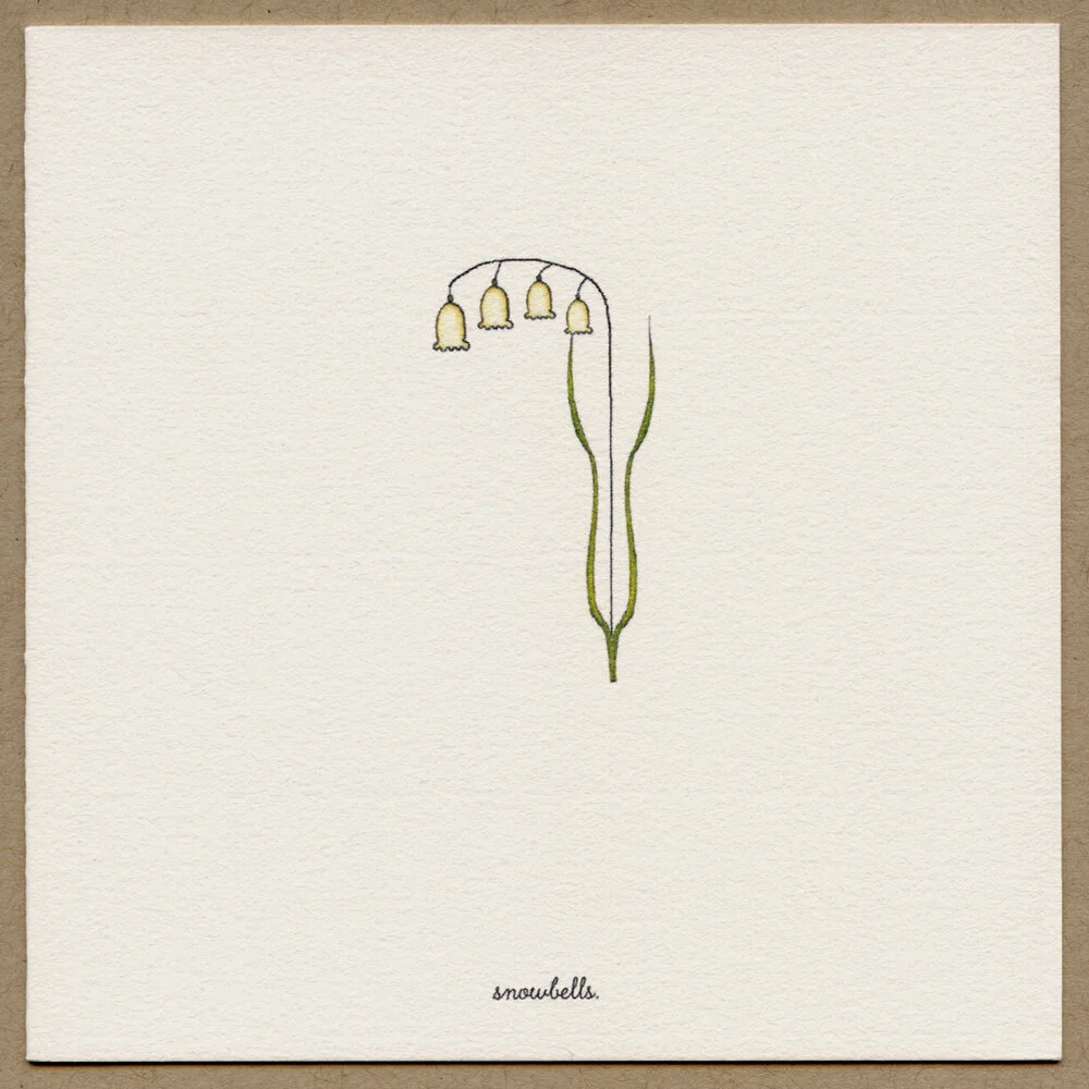 snowbells.jpg