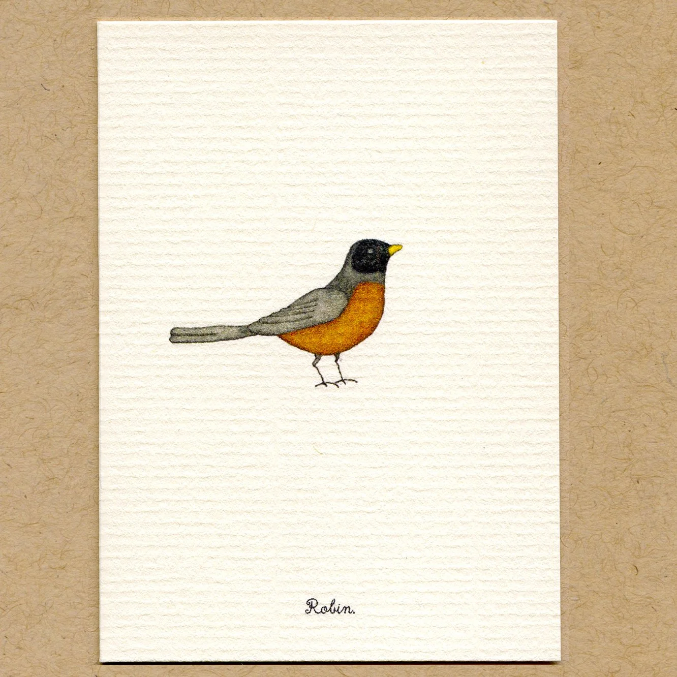 robin.