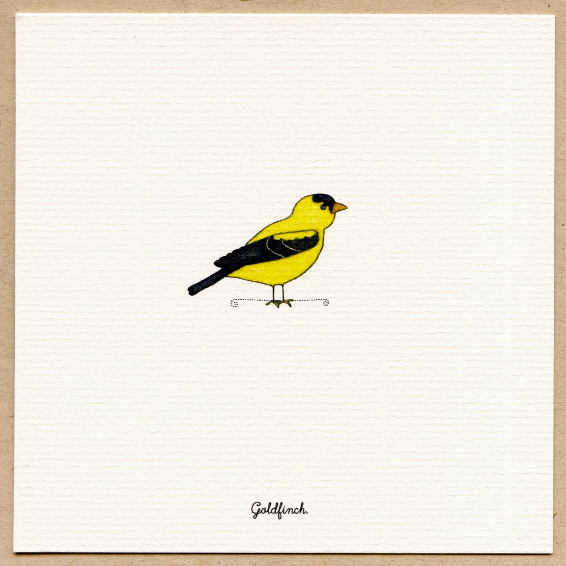 goldfinch.