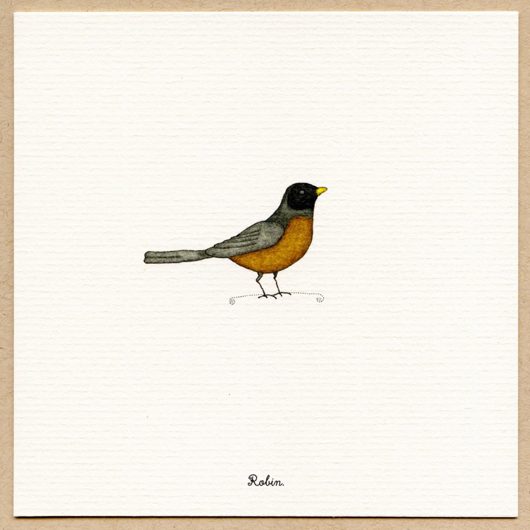 robin.