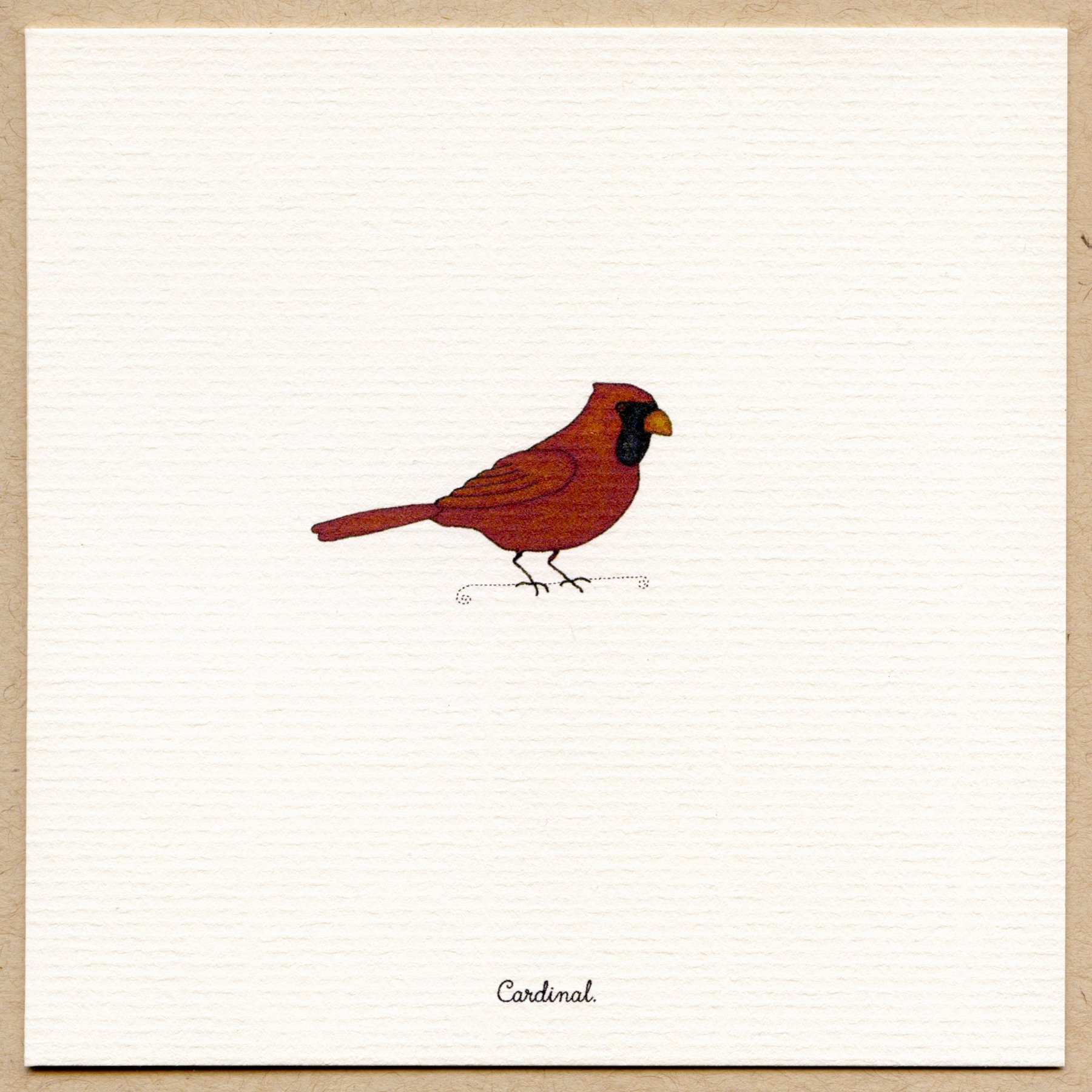 cardinal.