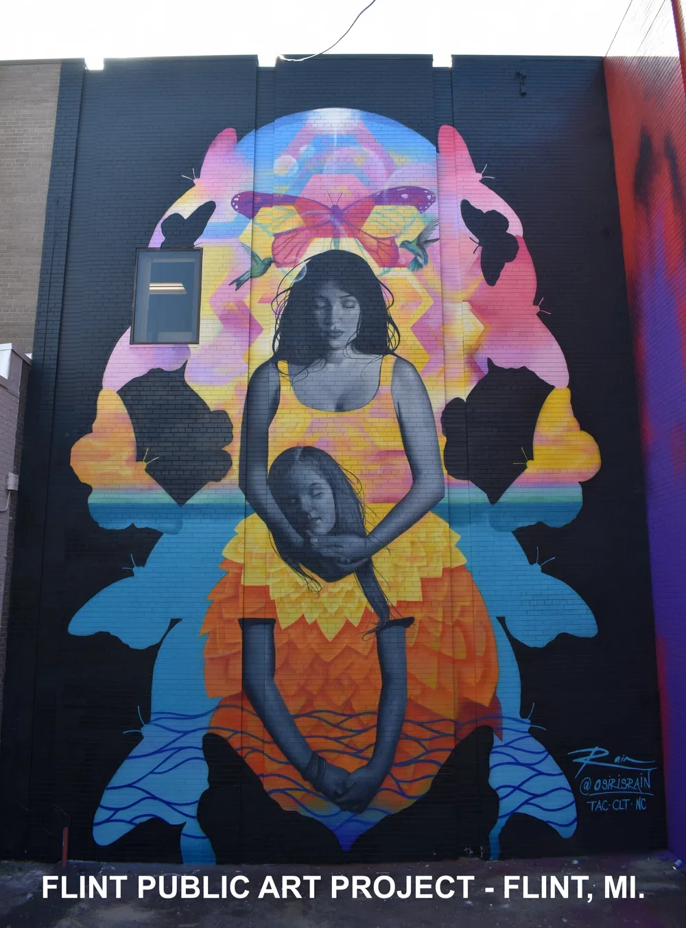 FLINT+PUBLIC+ART+PROJECT+-+MONARCH.webp