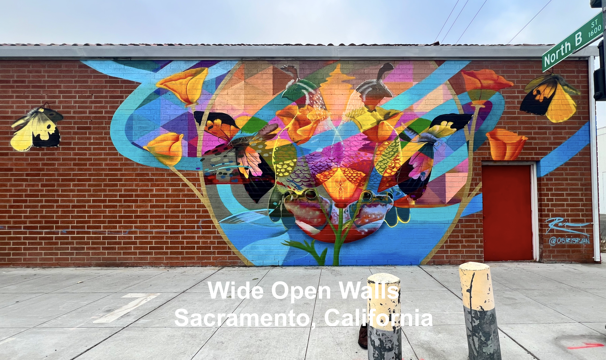 Untitled_Artwork+10.webp