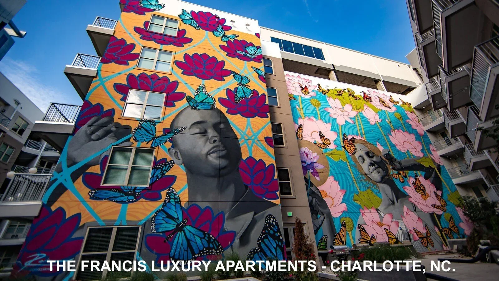 THE+FRANCIS+LUXURY+APARTMENTS+-+CHARLOTTE,+NC..webp