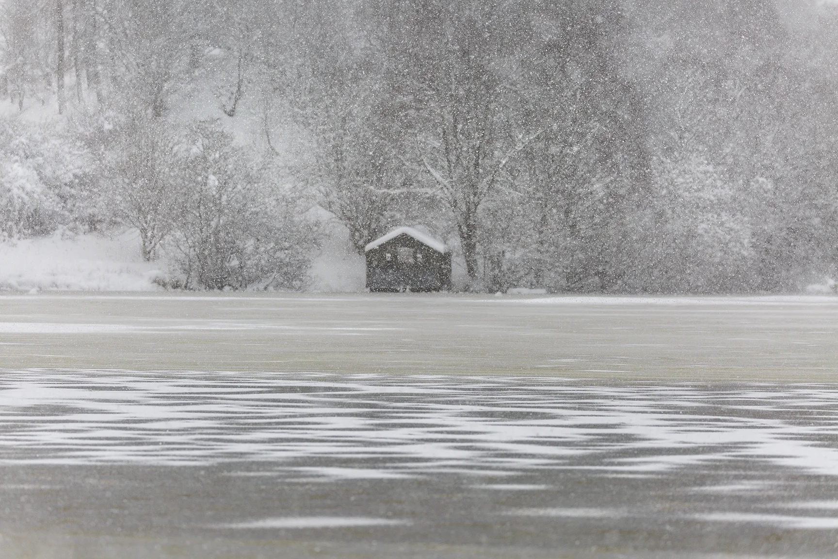 carbeth boathouse scootimoto copy.jpg