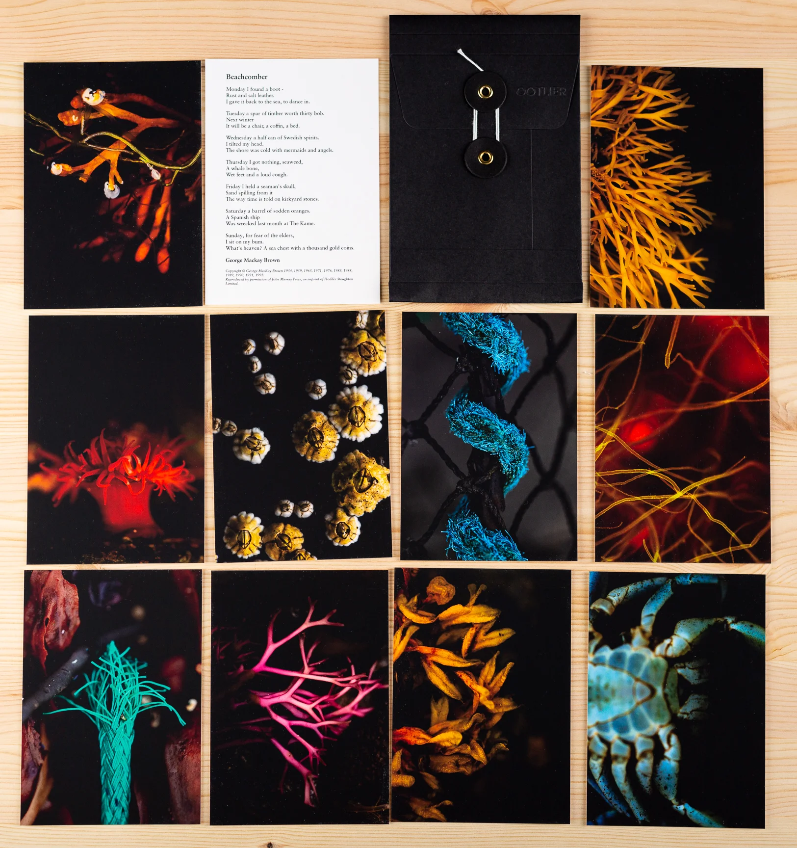 Product shot 1.jpg