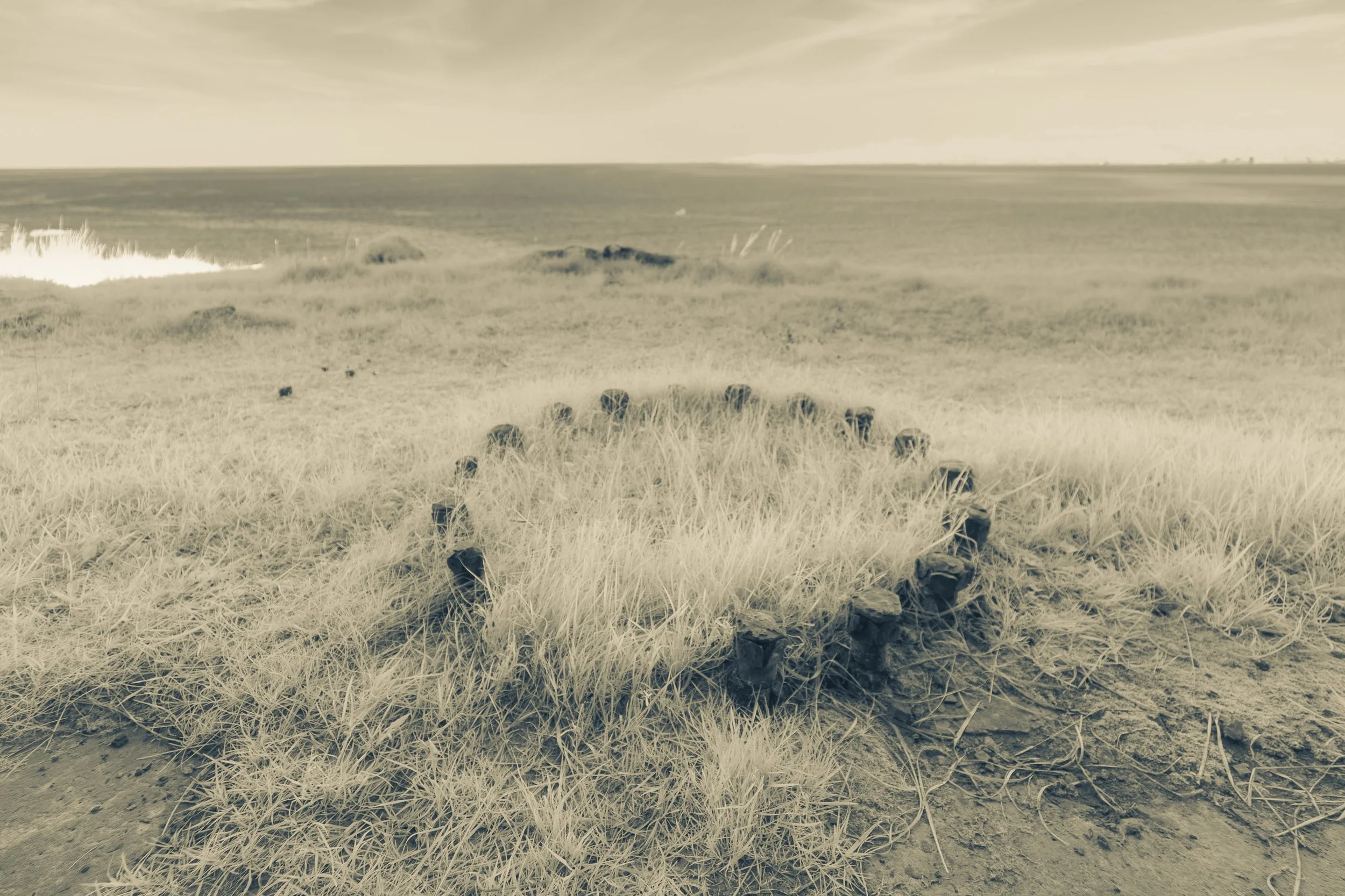 Wester Ross Infrared-226.jpg