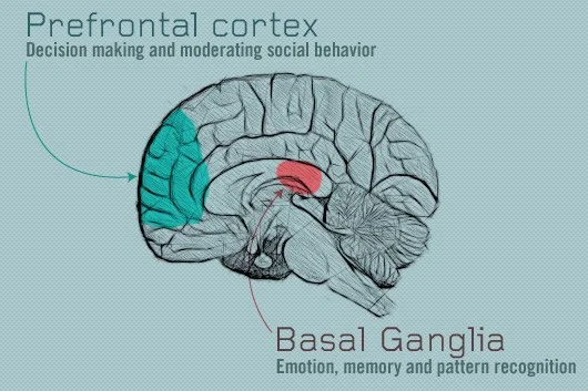 Why Habits Are More Important Than We Can Imagine