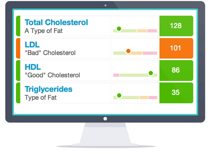 WellnessFX Blood Testing--stats image on computer screen