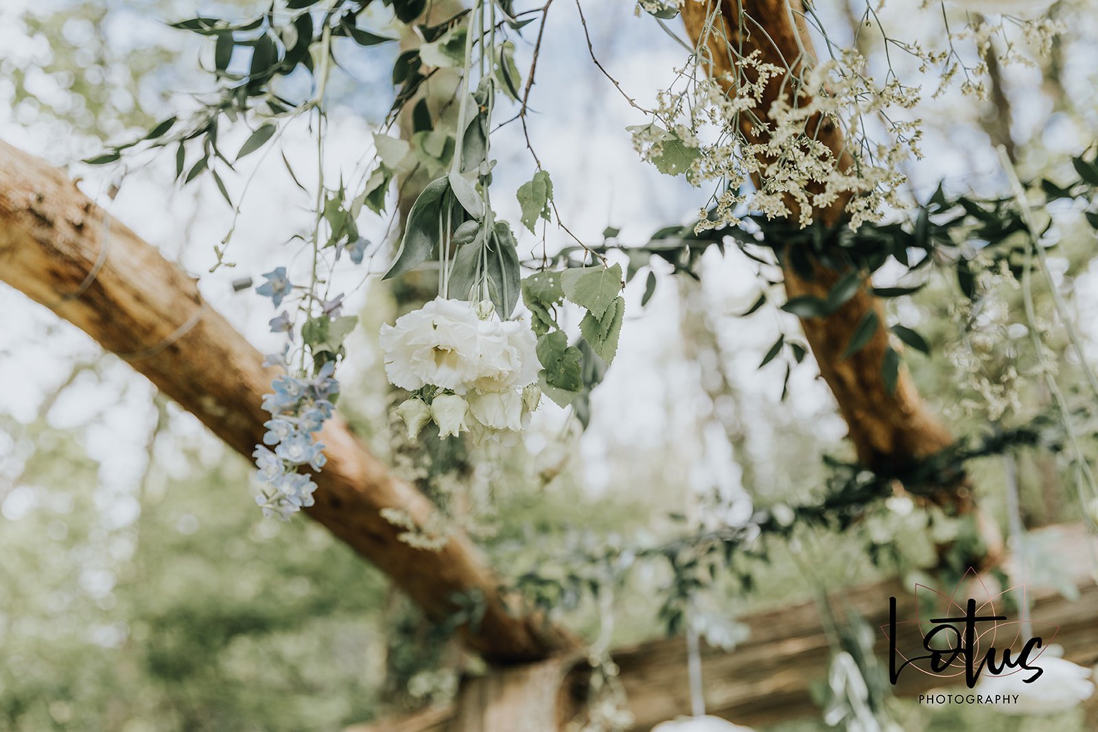 Style and Wonder Spring Flowers