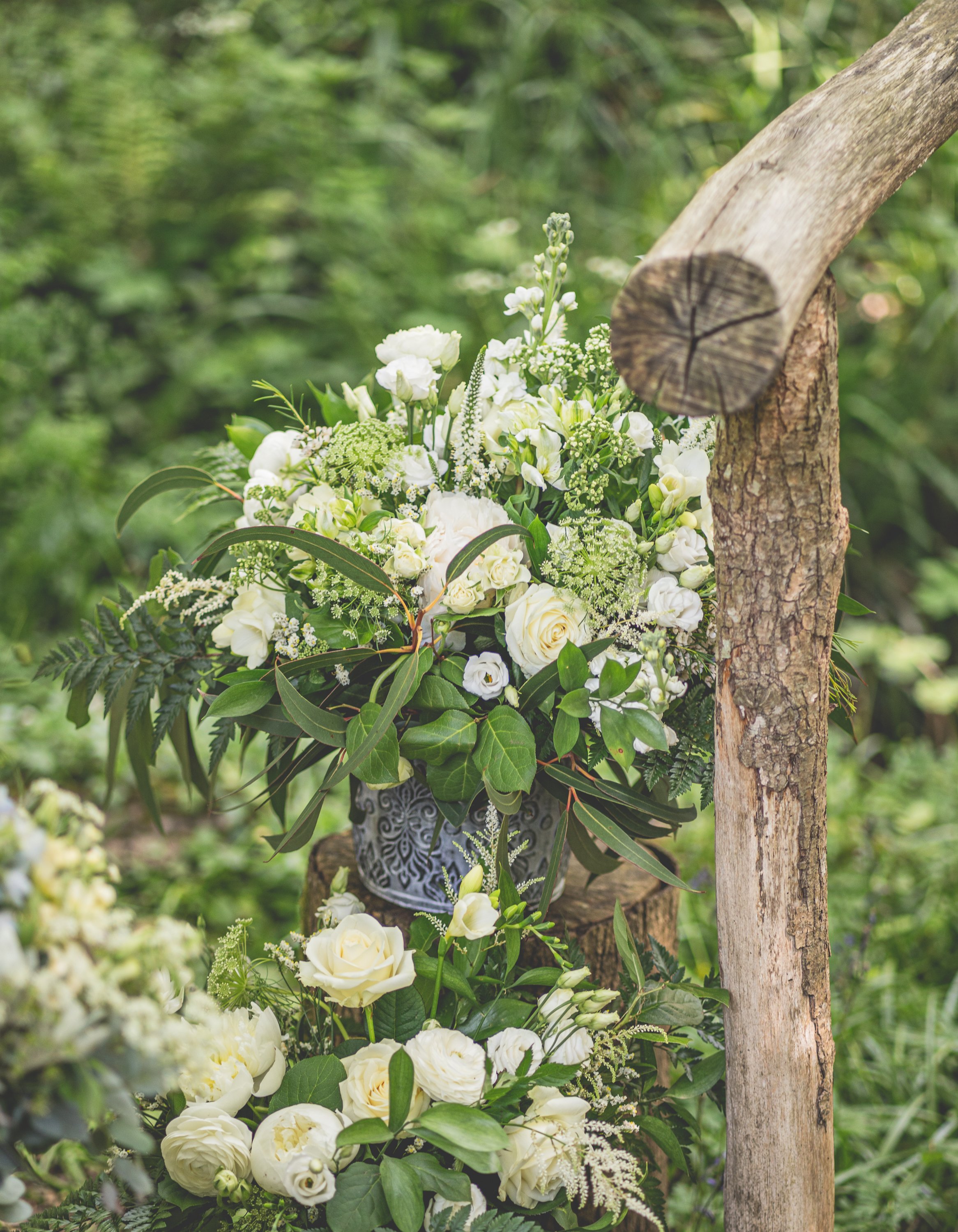 Style and Wonder Spring Flowers