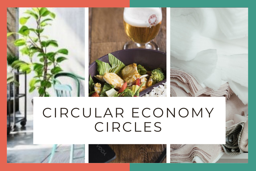 Introducing Circular Economy Circles