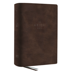 net-abide-brown.png