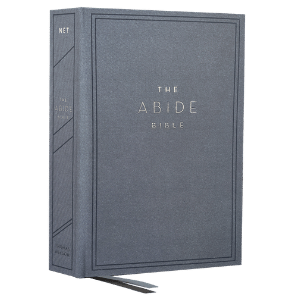net-abide-blue.png