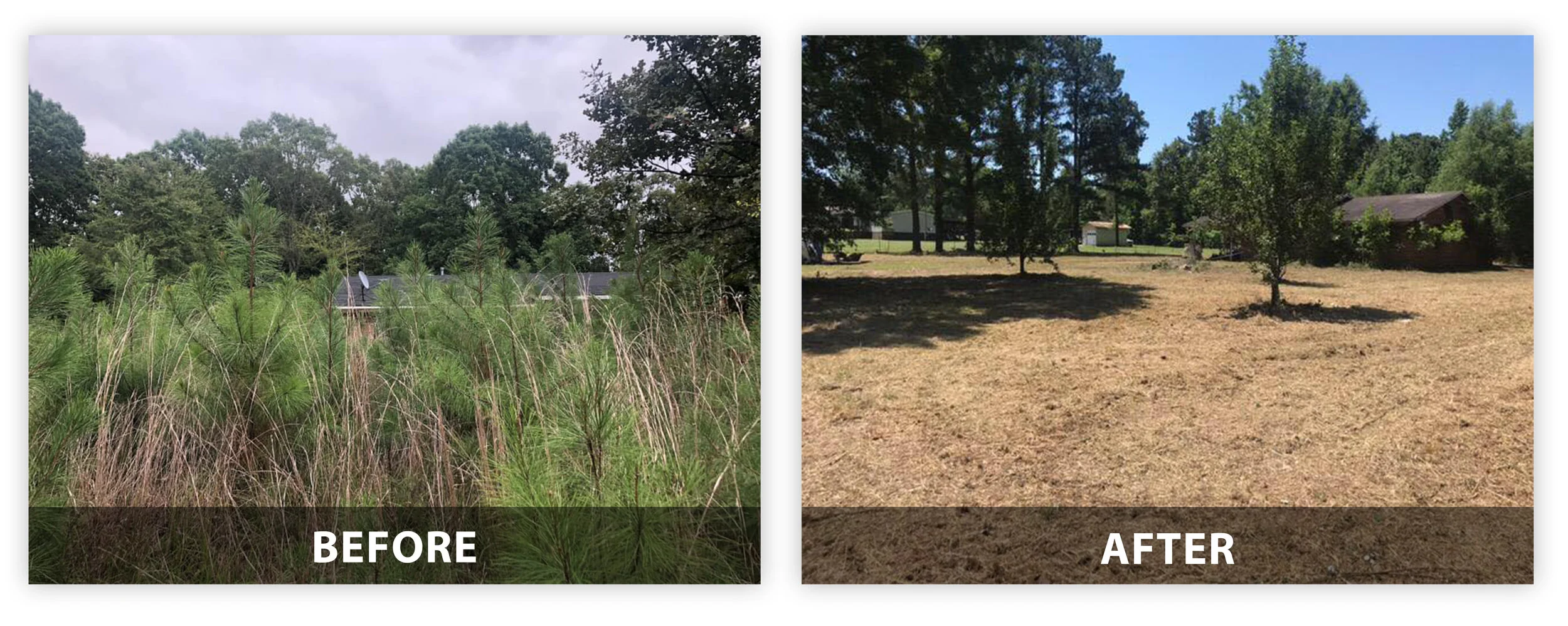 BEFORE AFTER.jpg