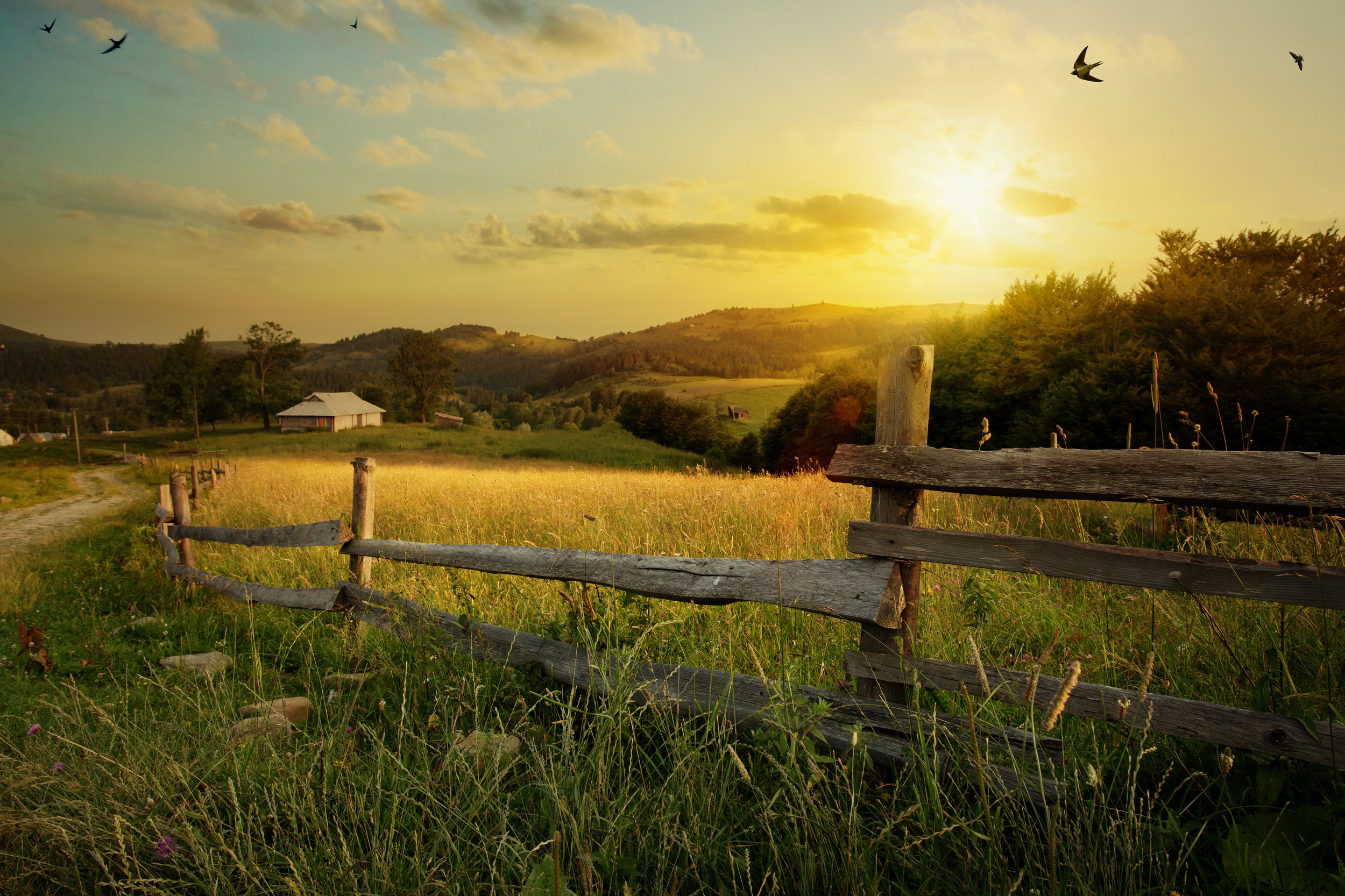 AdobeStock_126216129.jpeg