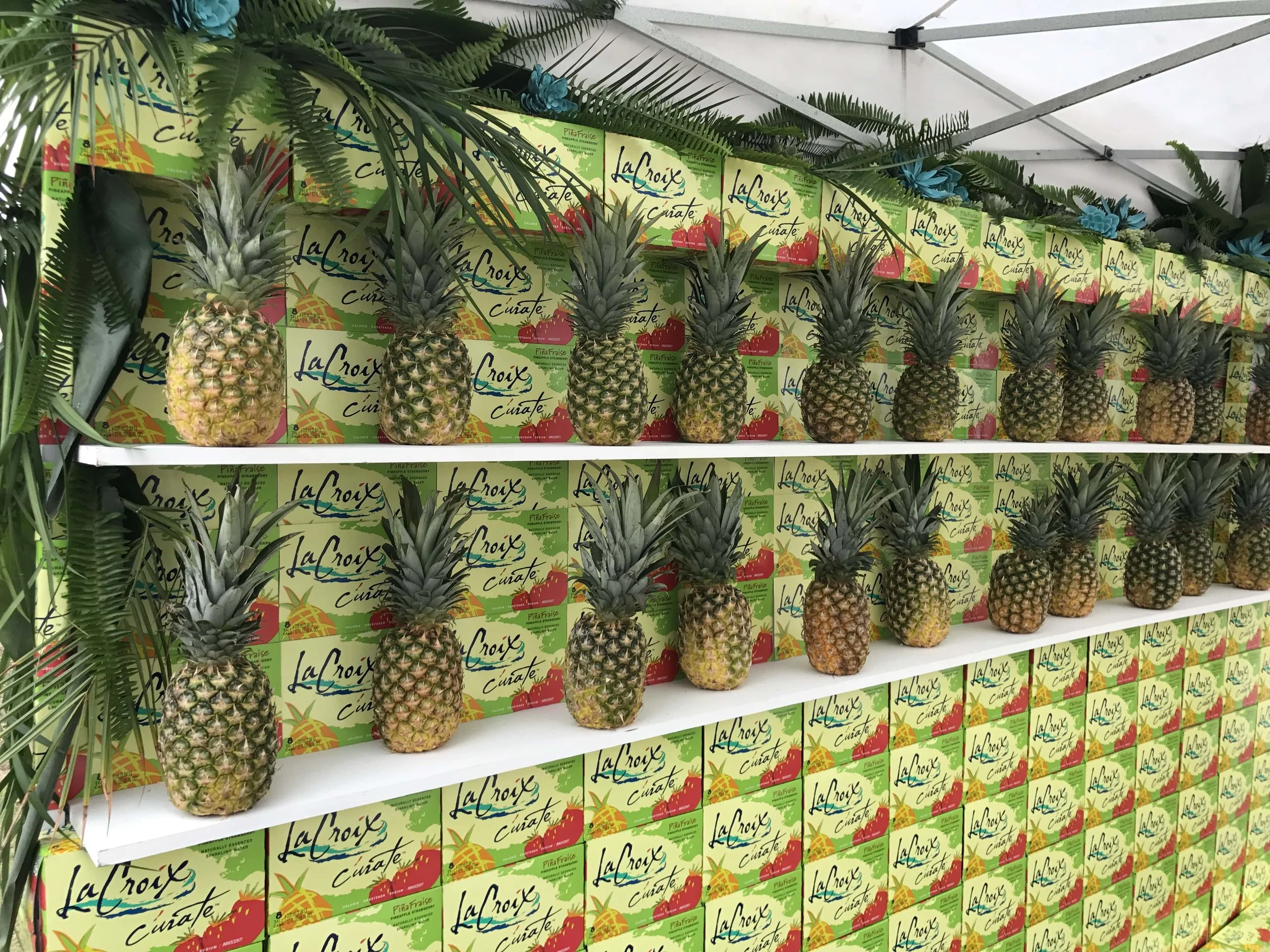 IMG_3164 copy-min.JPG