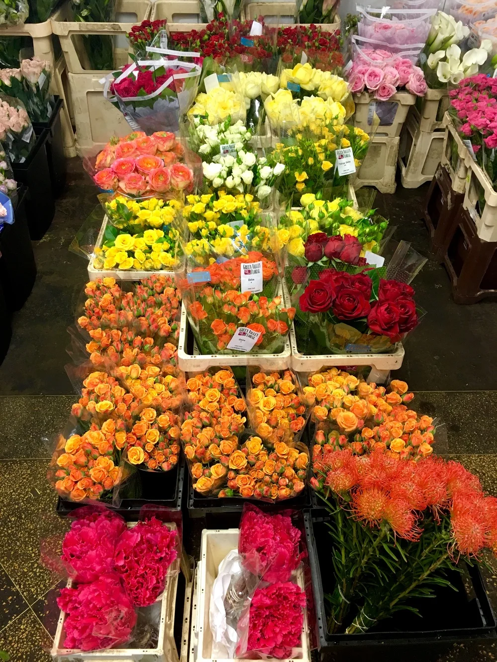 NYC Flower Market's Best - Dutch Flower Line